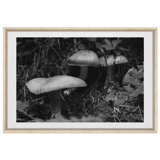 e49e6d92-8f8b-4682-83f9-6b1449ad91c3