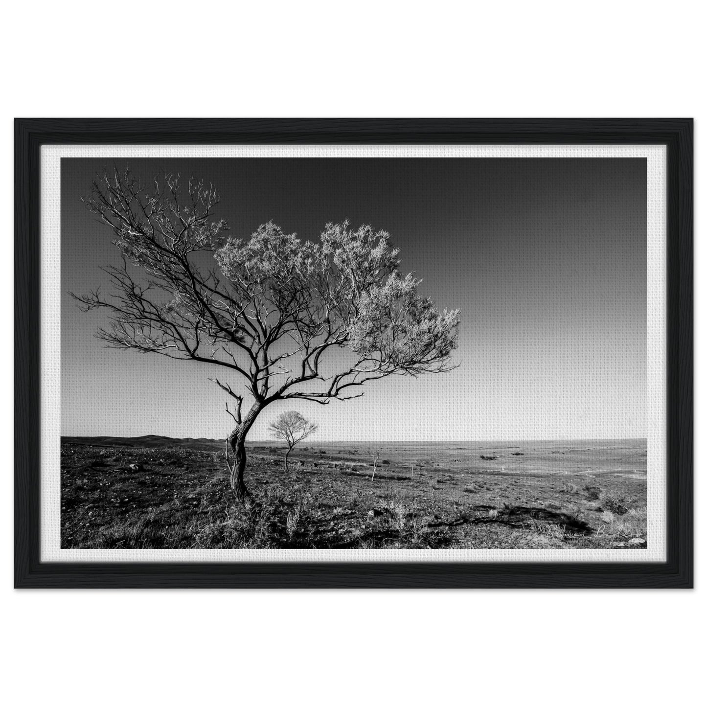 e4caee30-0647-4ee5-bd10-df18f29cf2ed