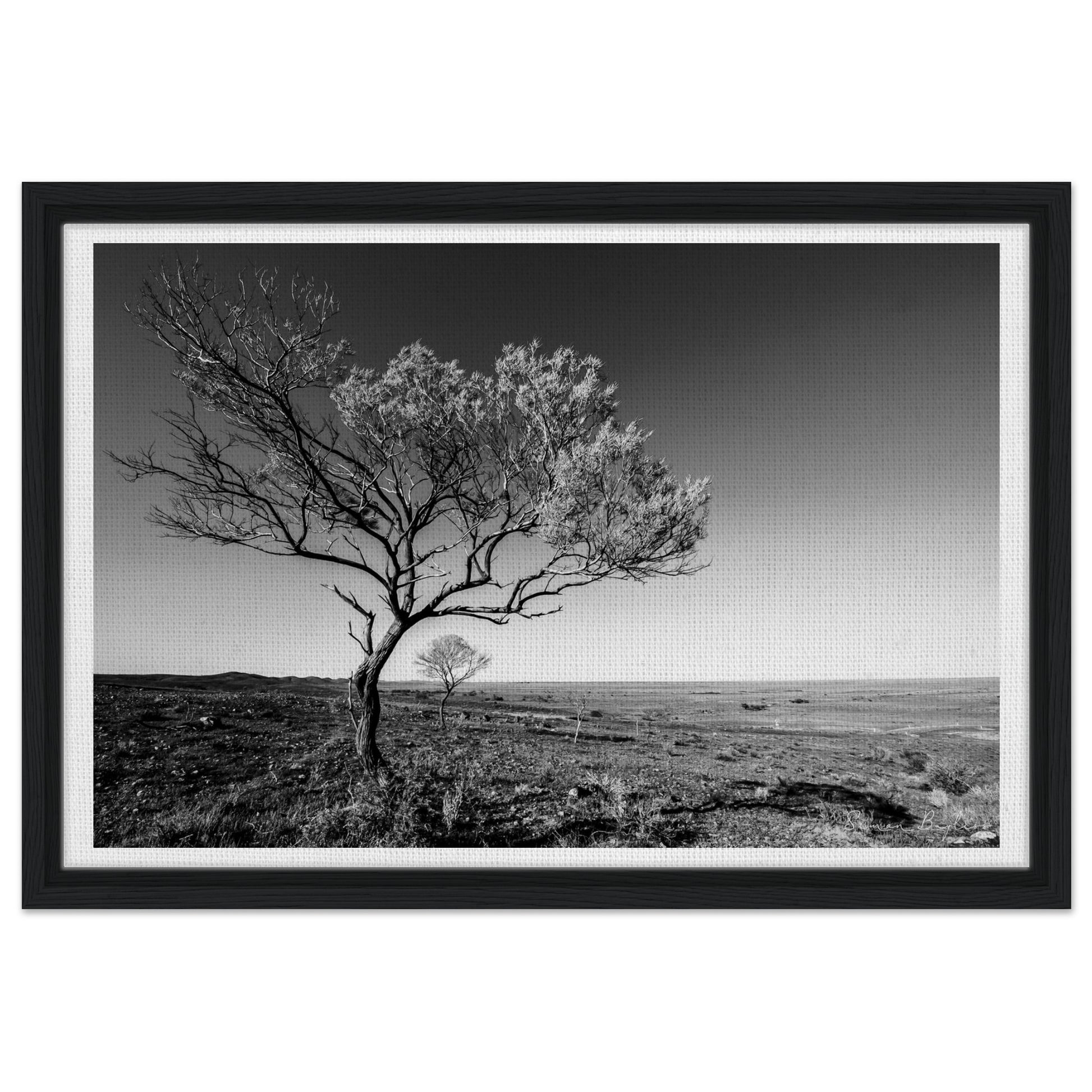 e4caee30-0647-4ee5-bd10-df18f29cf2ed