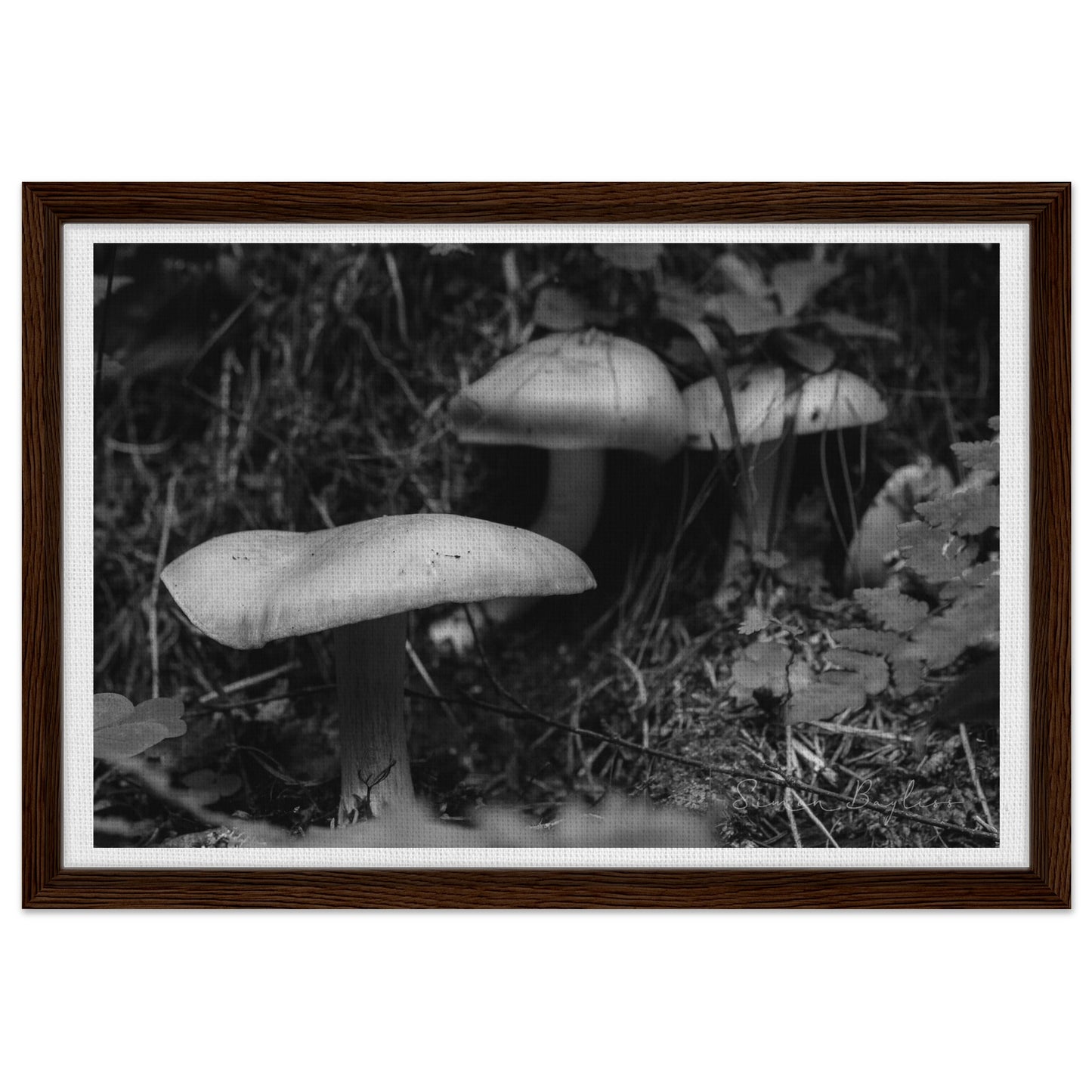 e4d57473-01ae-47ca-845e-083cf8376bb3