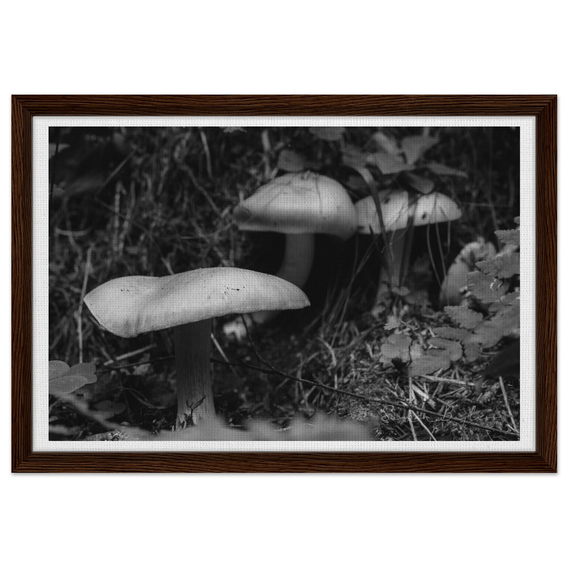 e4d57473-01ae-47ca-845e-083cf8376bb3