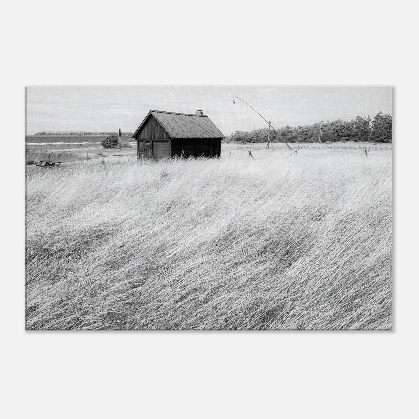 e5085631-f905-40a2-97b3-7ee496ee2e38