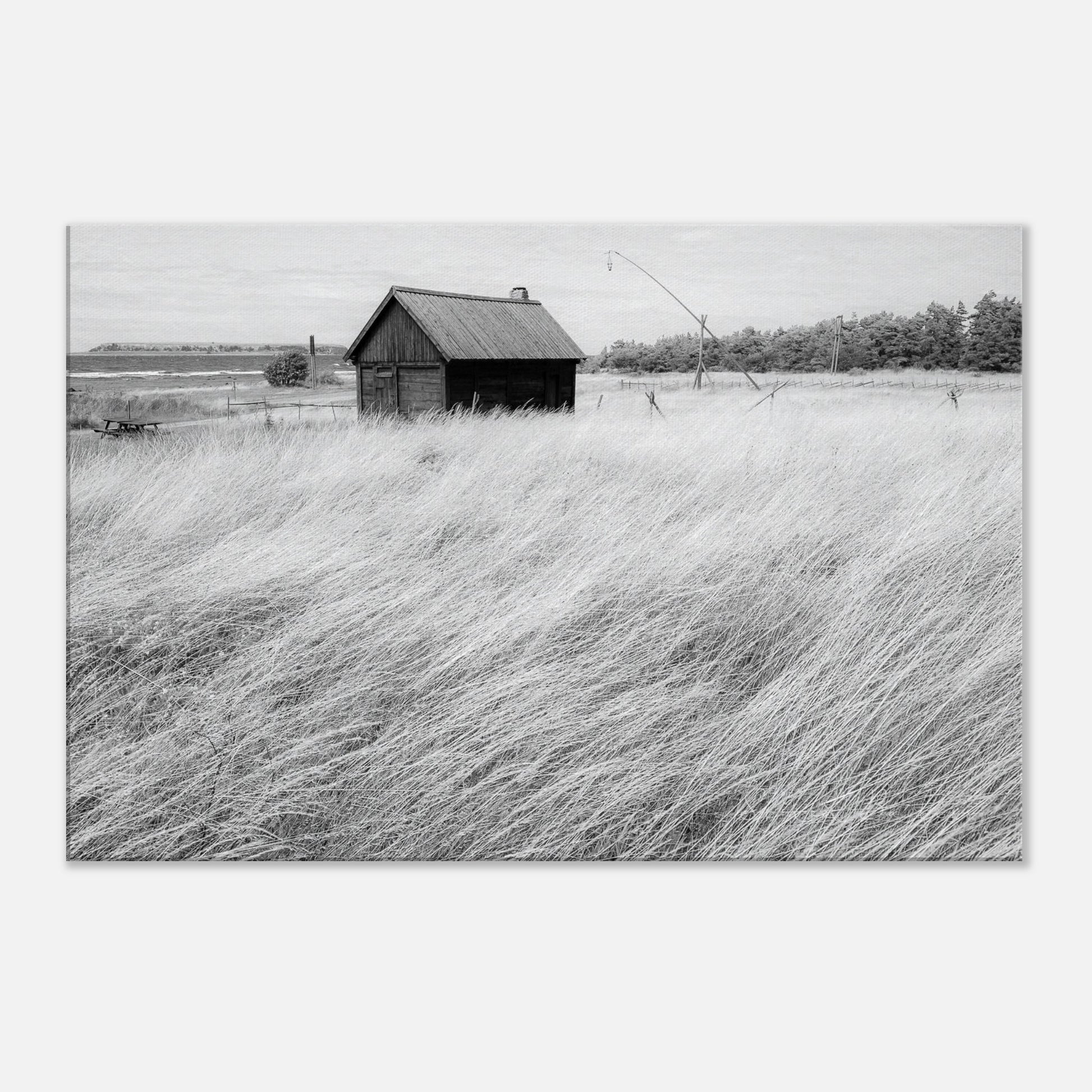 e5085631-f905-40a2-97b3-7ee496ee2e38