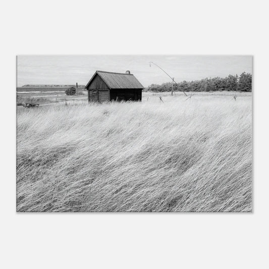 e5085631-f905-40a2-97b3-7ee496ee2e38