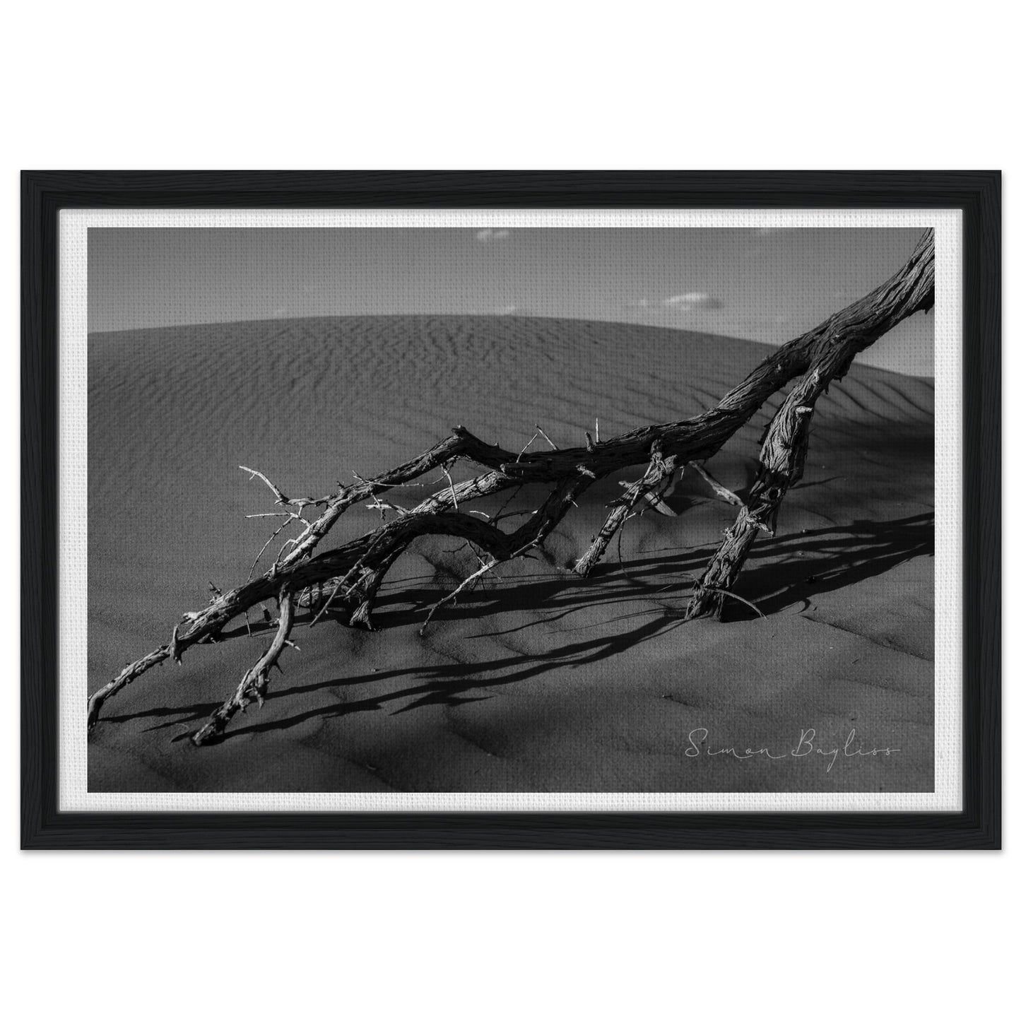 e59b96d2-368b-4023-a7dd-6dc1b926cfda