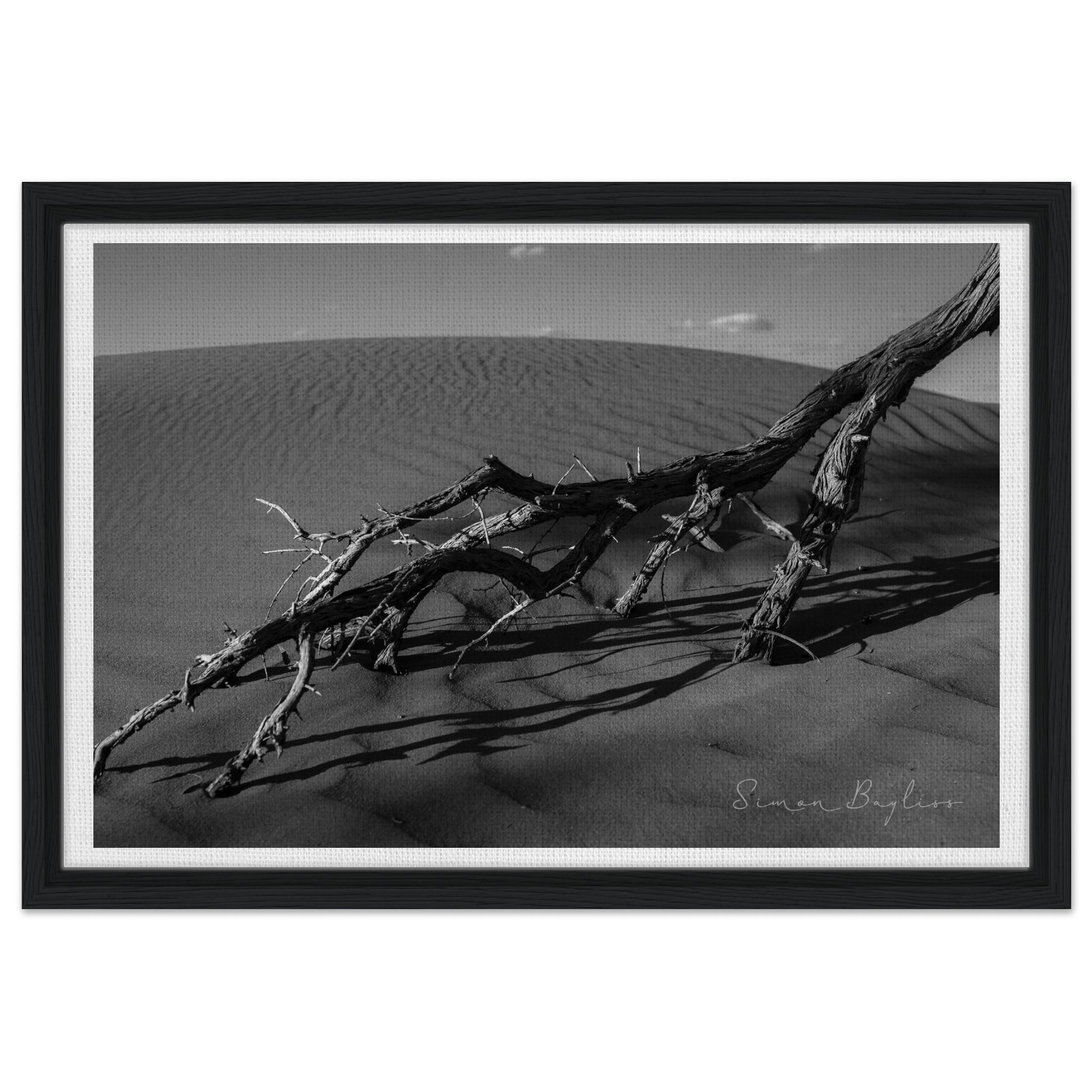 e59b96d2-368b-4023-a7dd-6dc1b926cfda