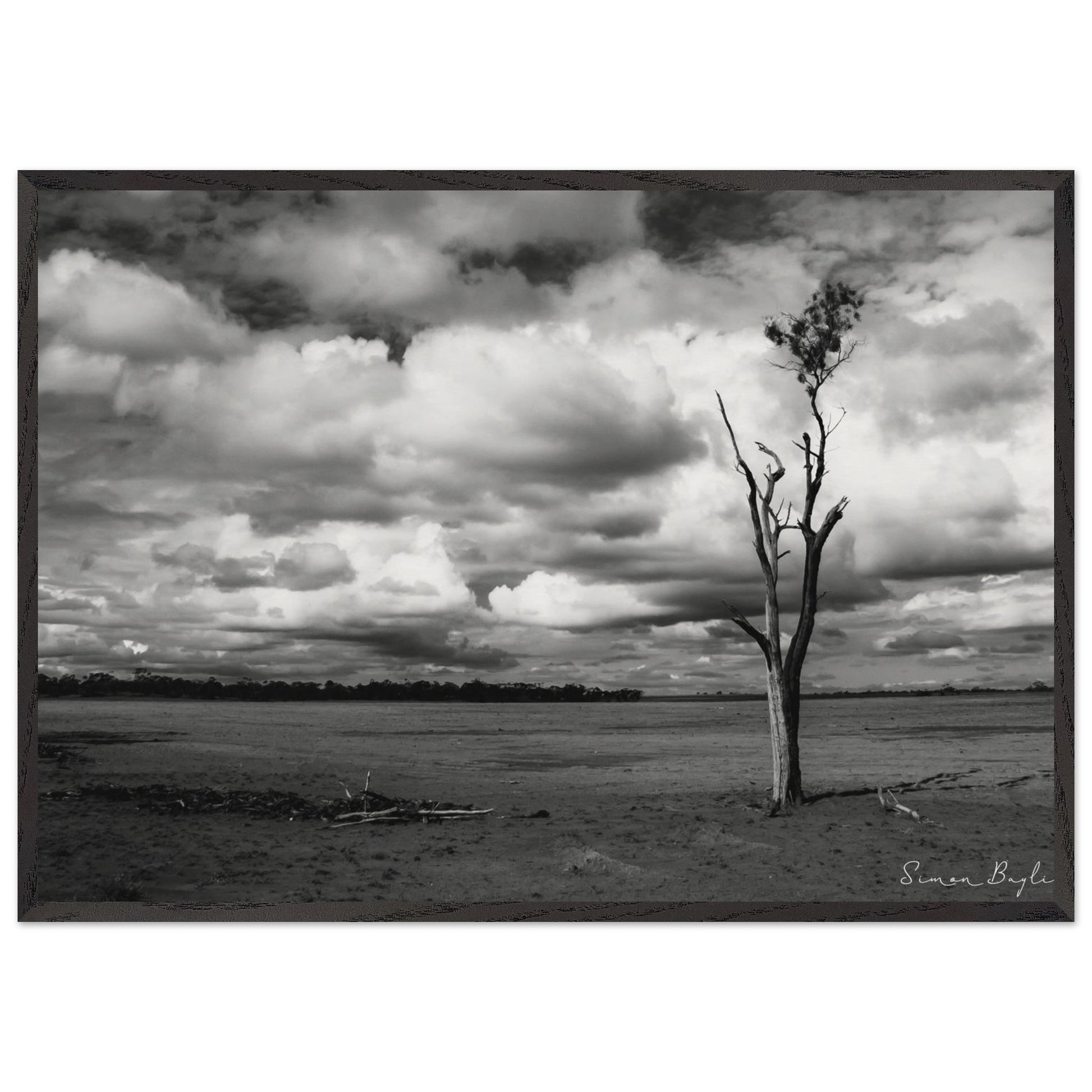 e67e79a2-f4c3-4ae1-8741-7d4fd5005f69