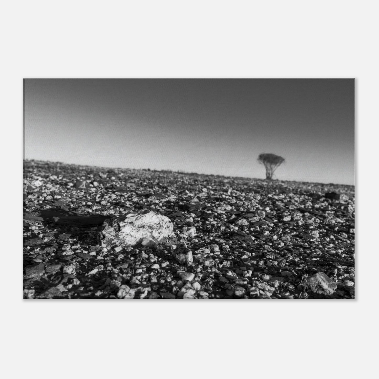 e79c2e21-0e74-4bfc-babe-e88fb95f603c