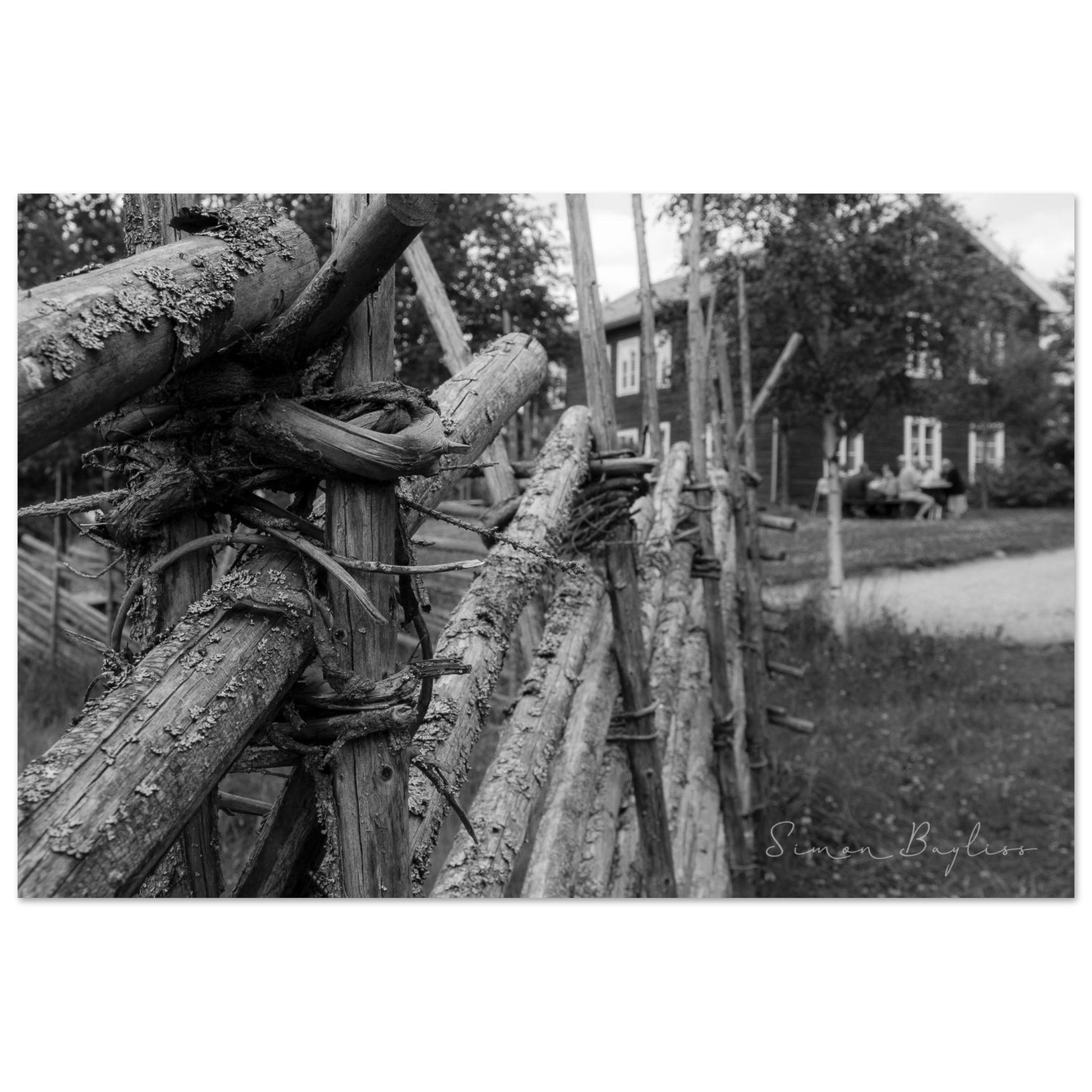 e81fff22-5c15-46d3-b73d-5469d3c73750