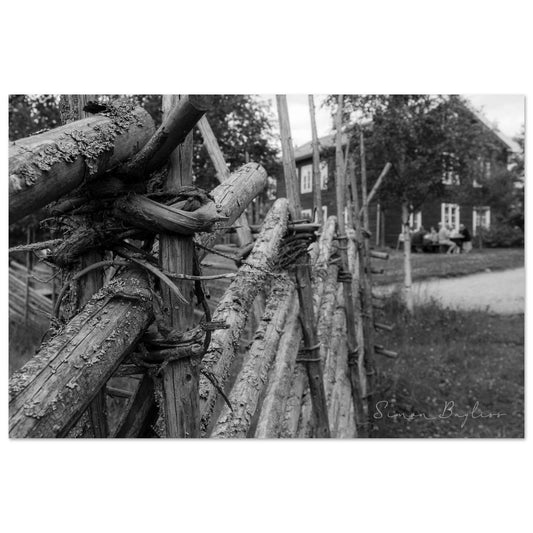 e81fff22-5c15-46d3-b73d-5469d3c73750