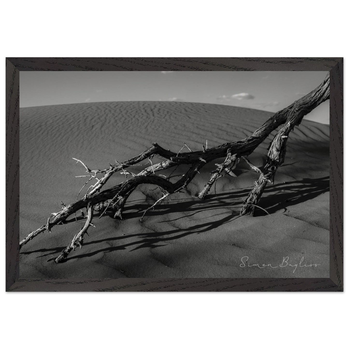 e853114f-87ba-4ecc-8118-c4699ba050fc