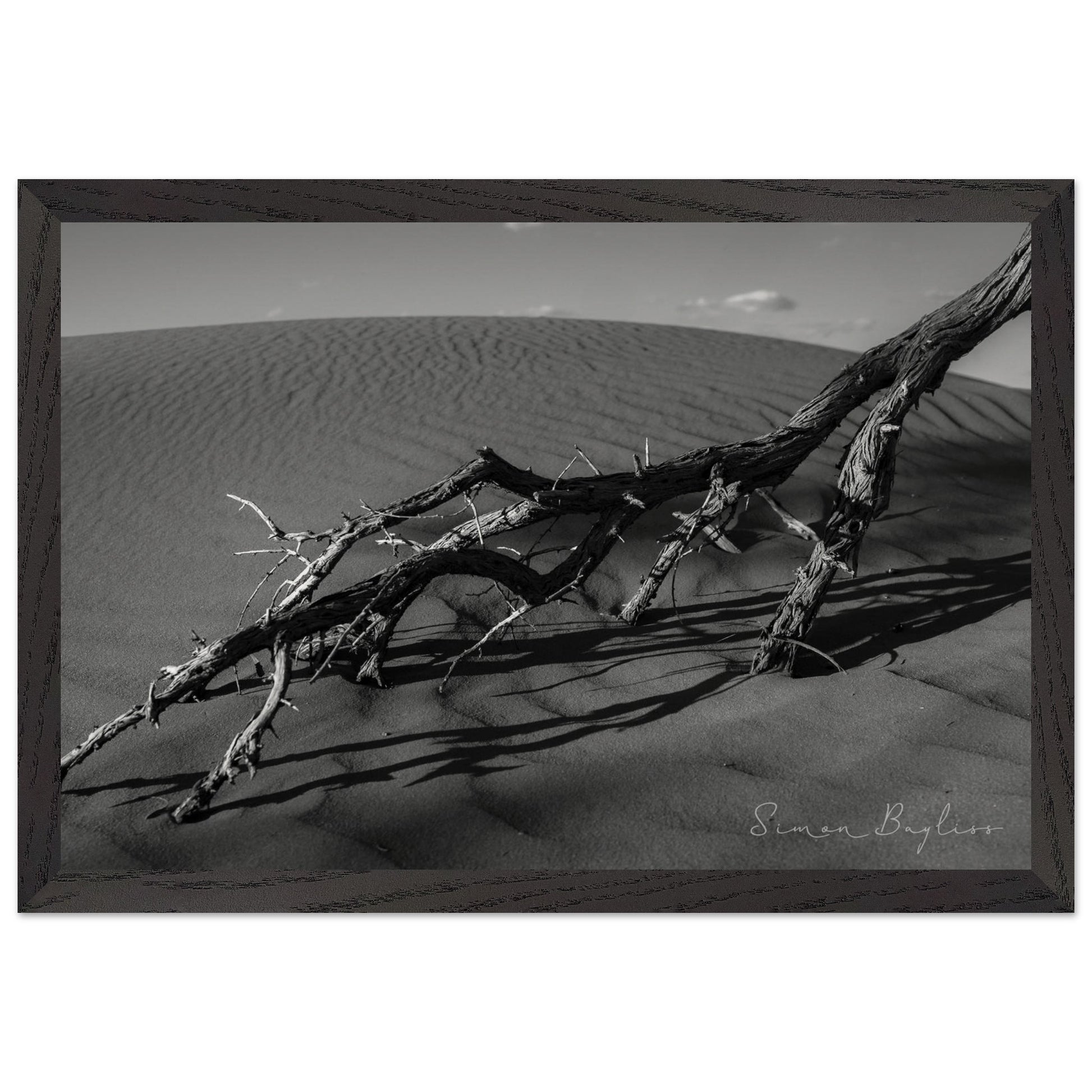 e853114f-87ba-4ecc-8118-c4699ba050fc