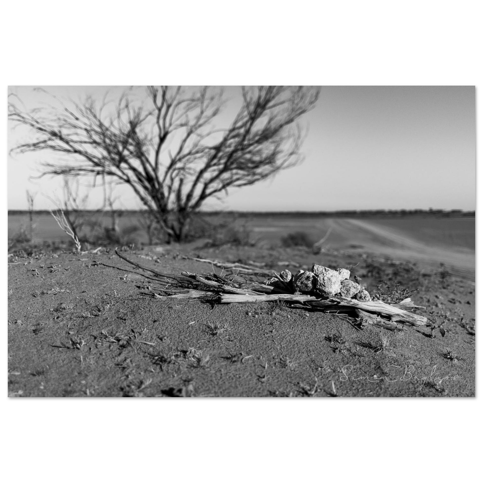 e8688b5c-c50b-4195-b848-2c2159a20909