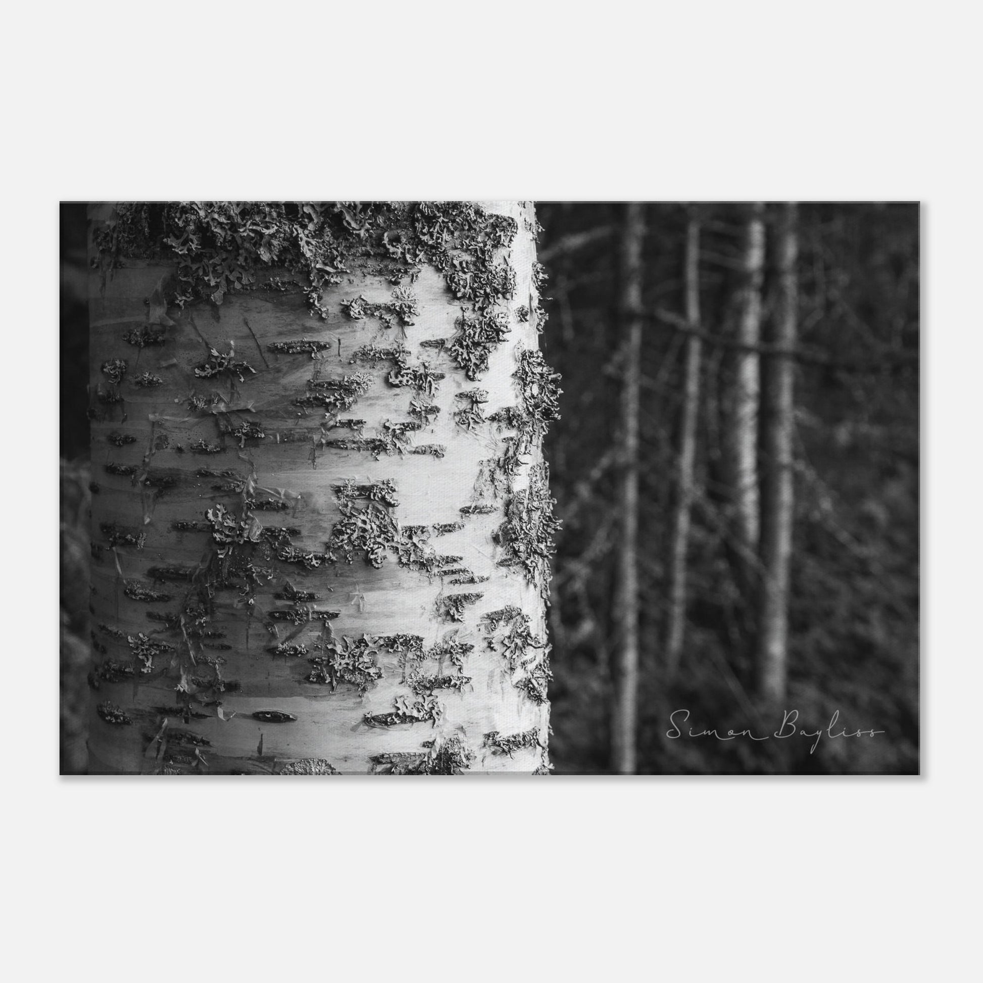 e86fb9f3-f596-4380-8ec4-67900bb77b98