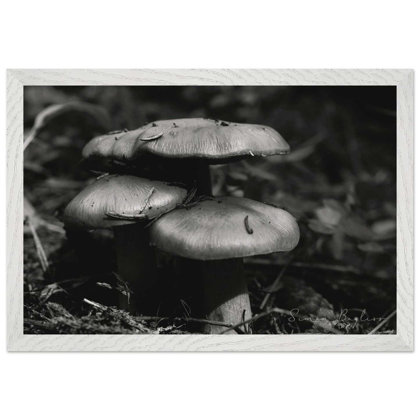 e896e412-8f1c-4633-85cc-f3579b98d9b1