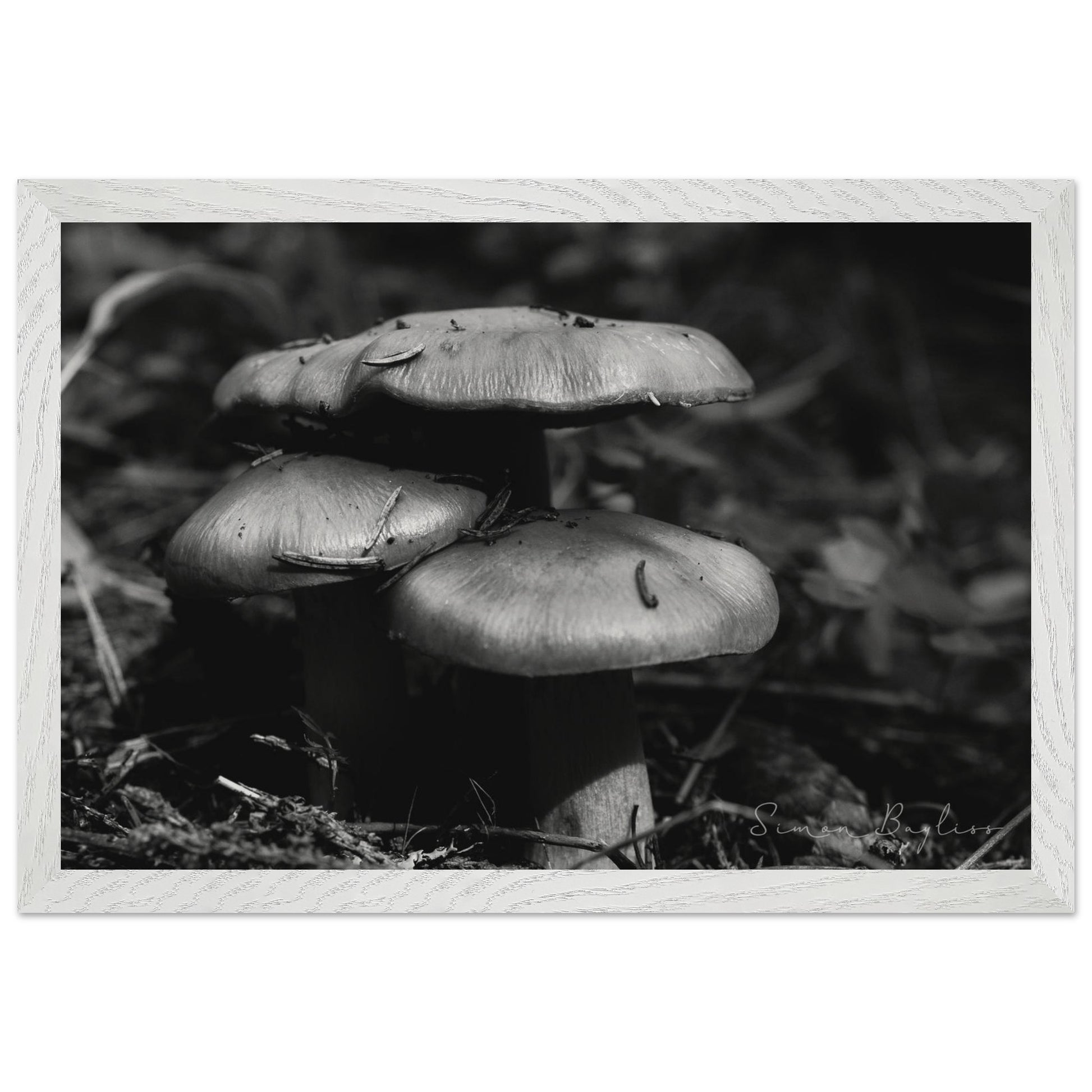 e896e412-8f1c-4633-85cc-f3579b98d9b1