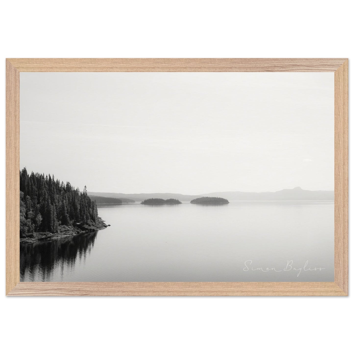 e8d3c1a6-a7ea-4d19-87be-f40a03011c7c