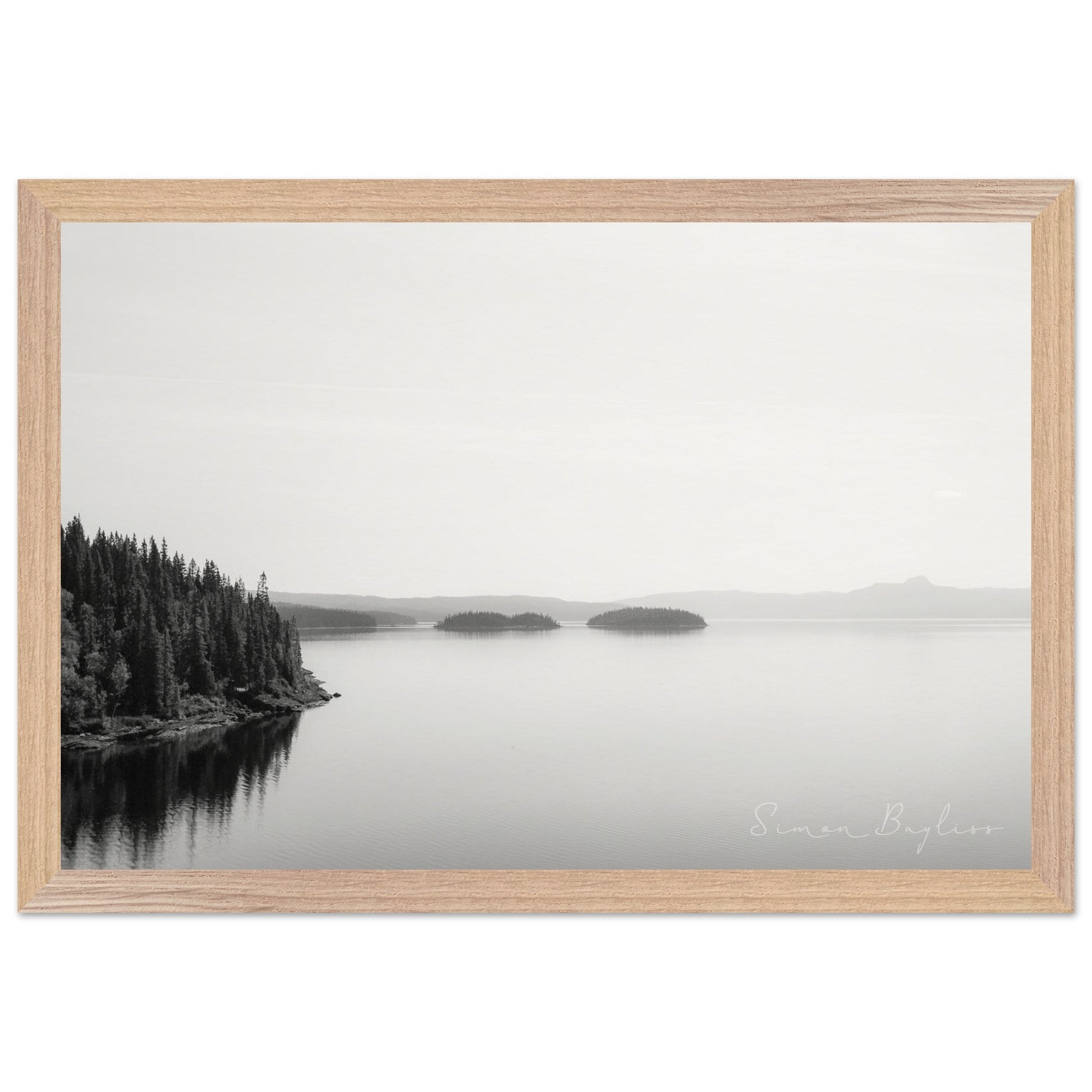 e8d3c1a6-a7ea-4d19-87be-f40a03011c7c