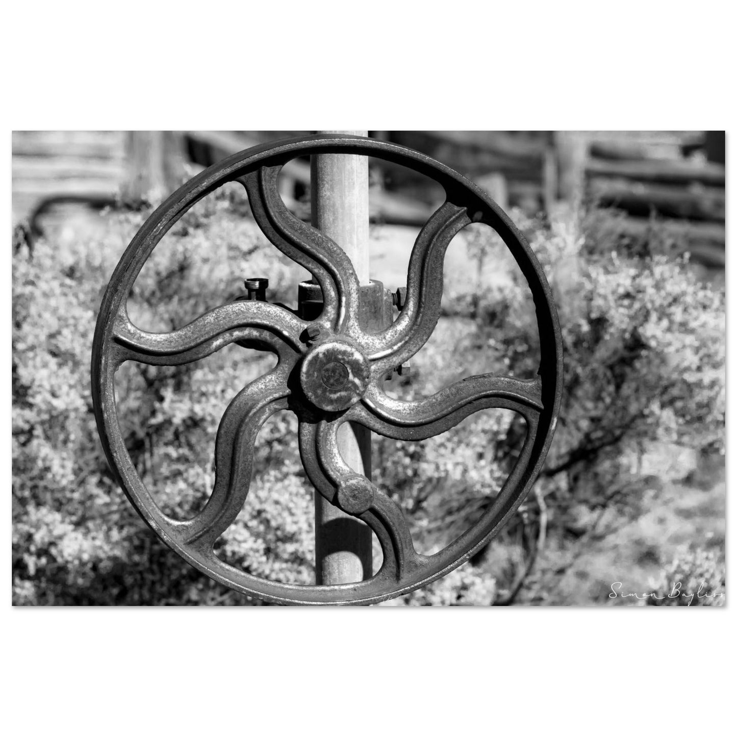 e9cf41c6-2113-475d-ba49-ad271c736b7d