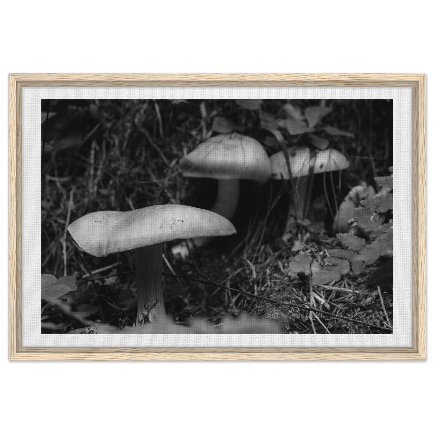 ea102cfd-cee4-403b-8737-045c05c93d4c