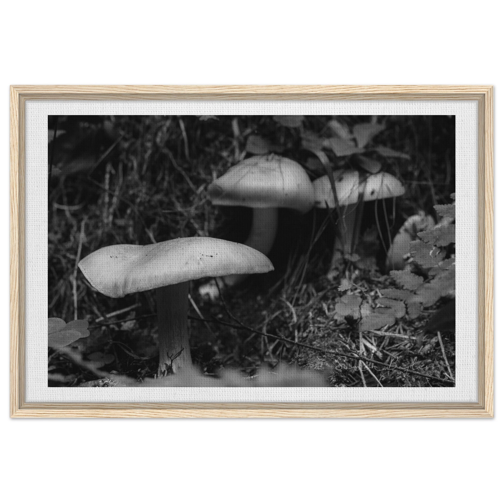 ea102cfd-cee4-403b-8737-045c05c93d4c