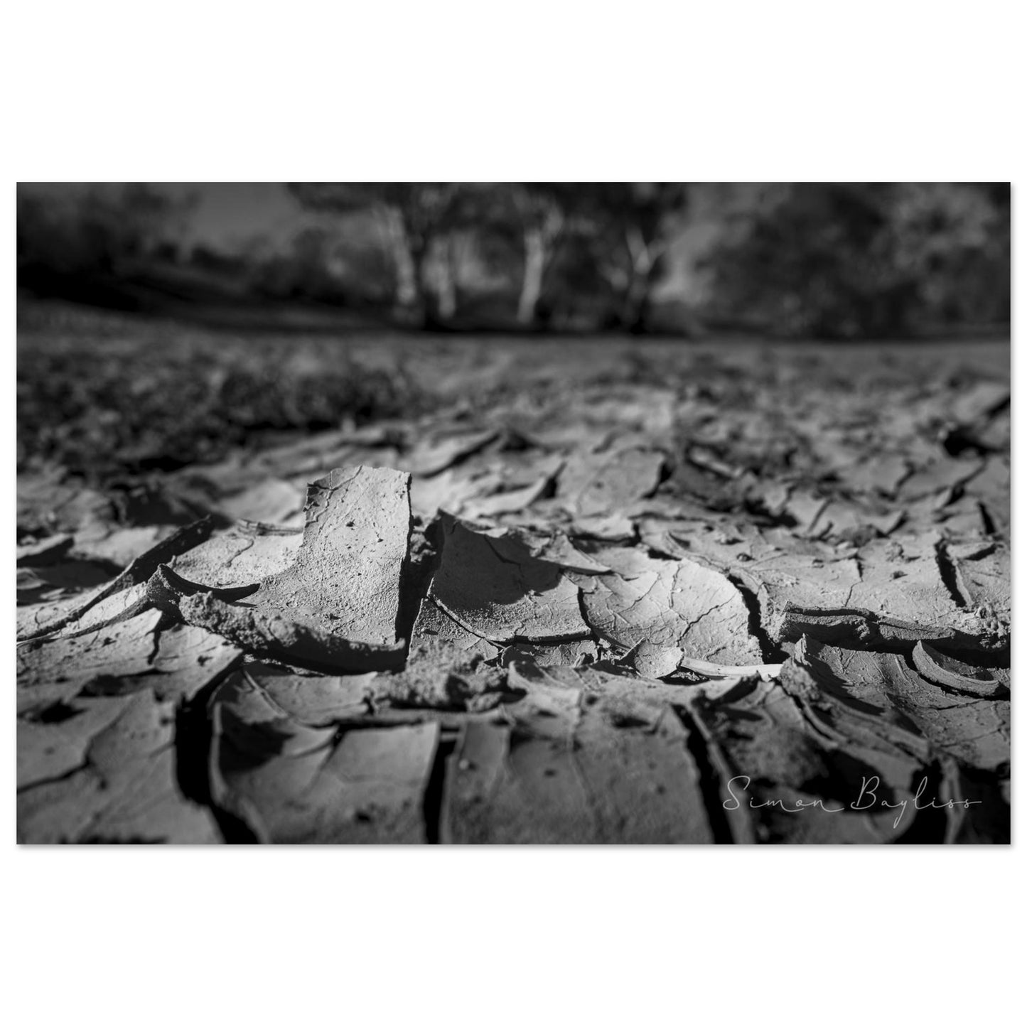 ea38f2de-1ed3-4b1c-89a7-adbdc22f31ef