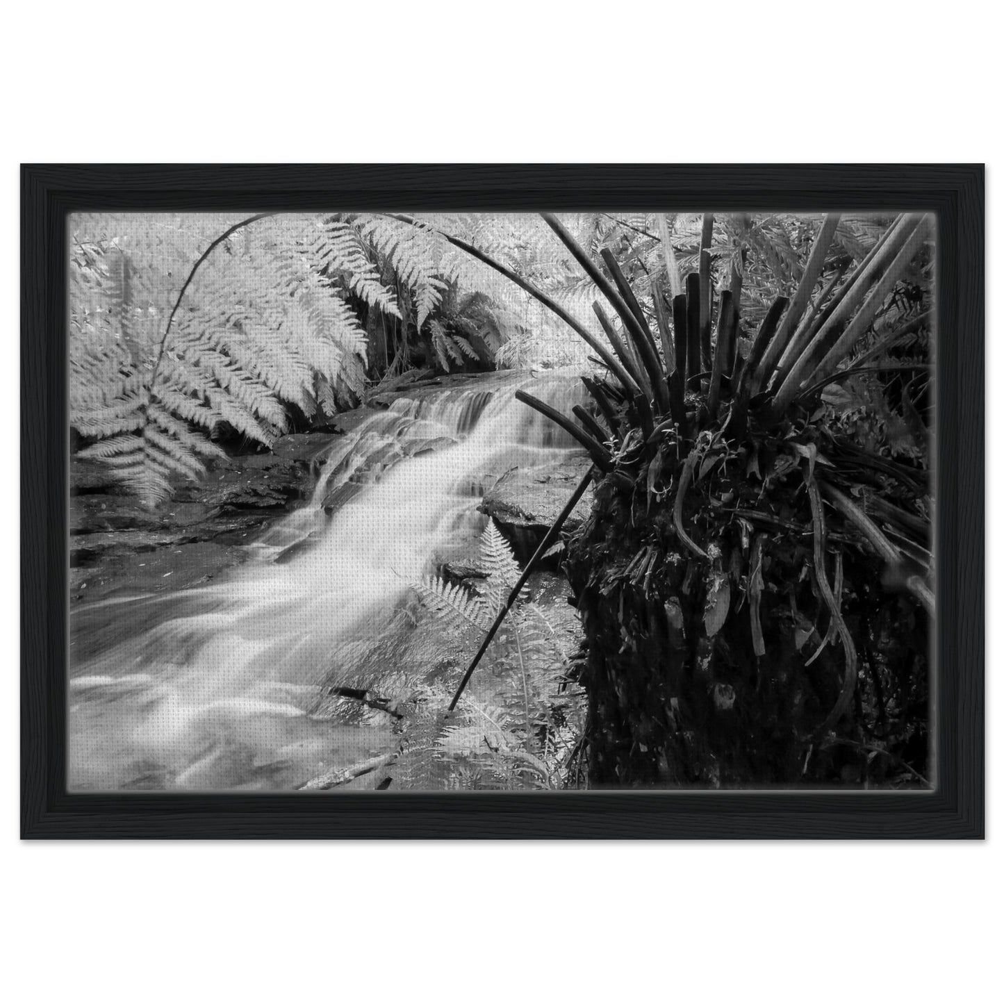 eaf2cd38-7a87-4349-8900-bc1b244b6101