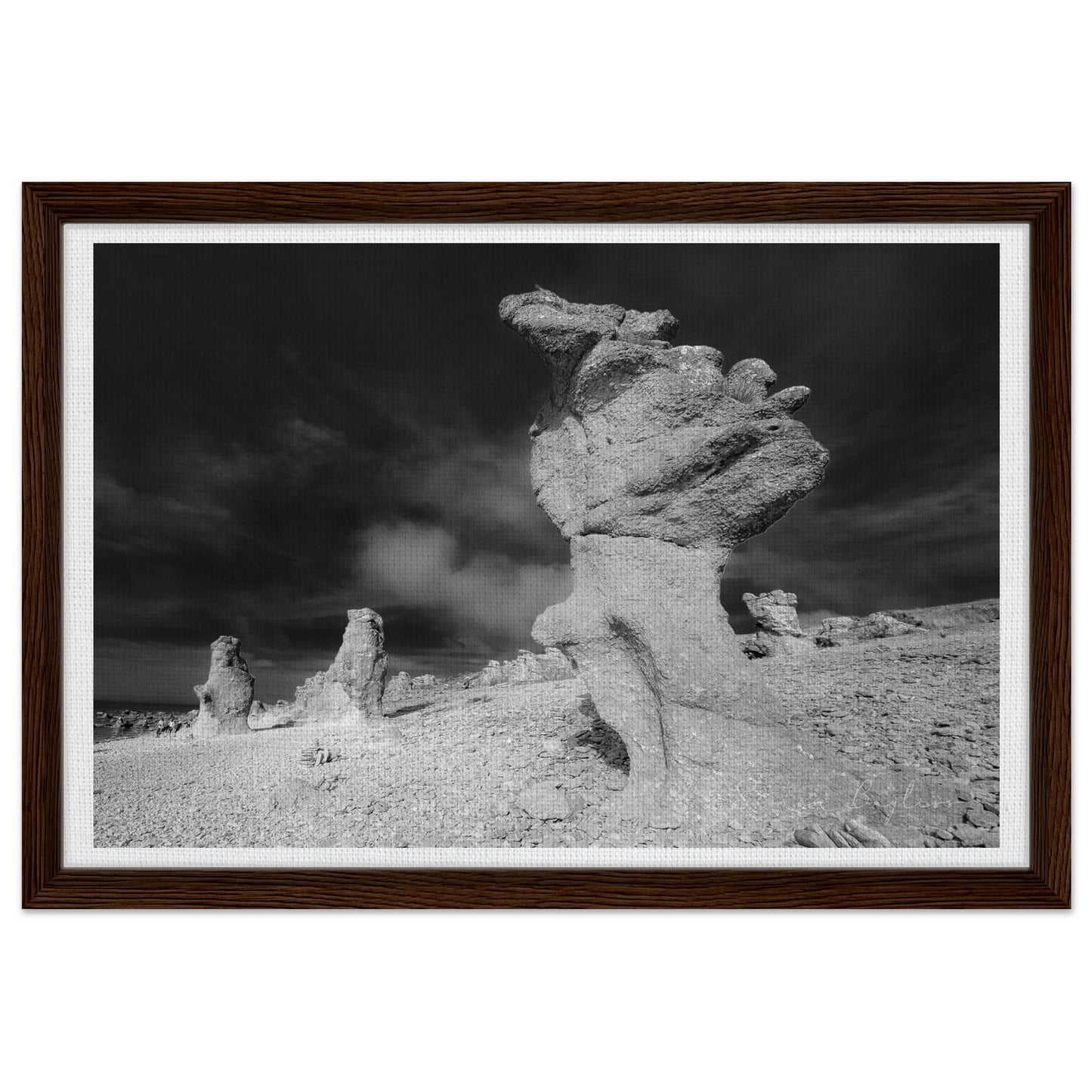 ebaa55de-5d1d-44a0-8edd-60aabb6a81c3