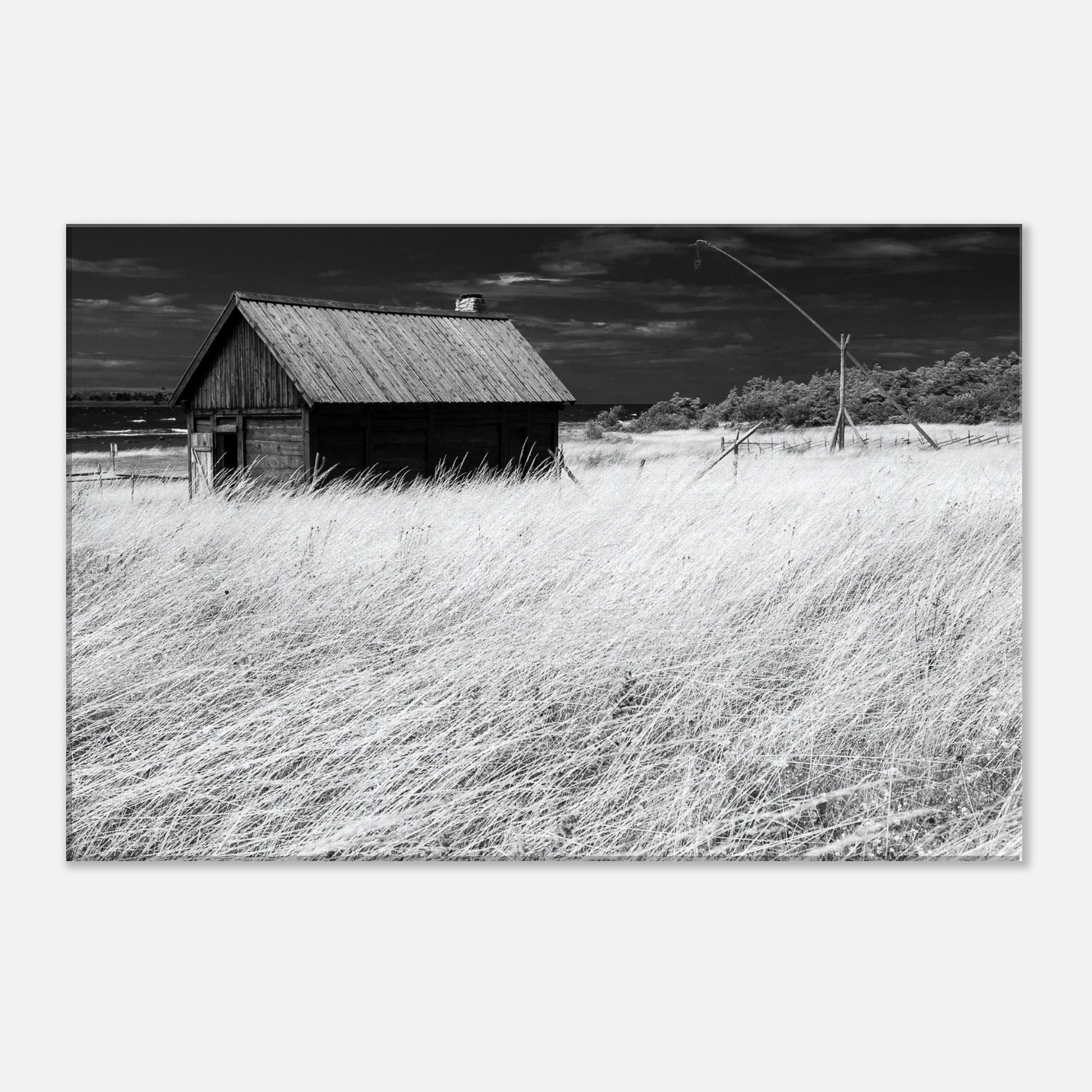 ebe5edb6-f3c5-4e65-b4ee-c5c55b9db597