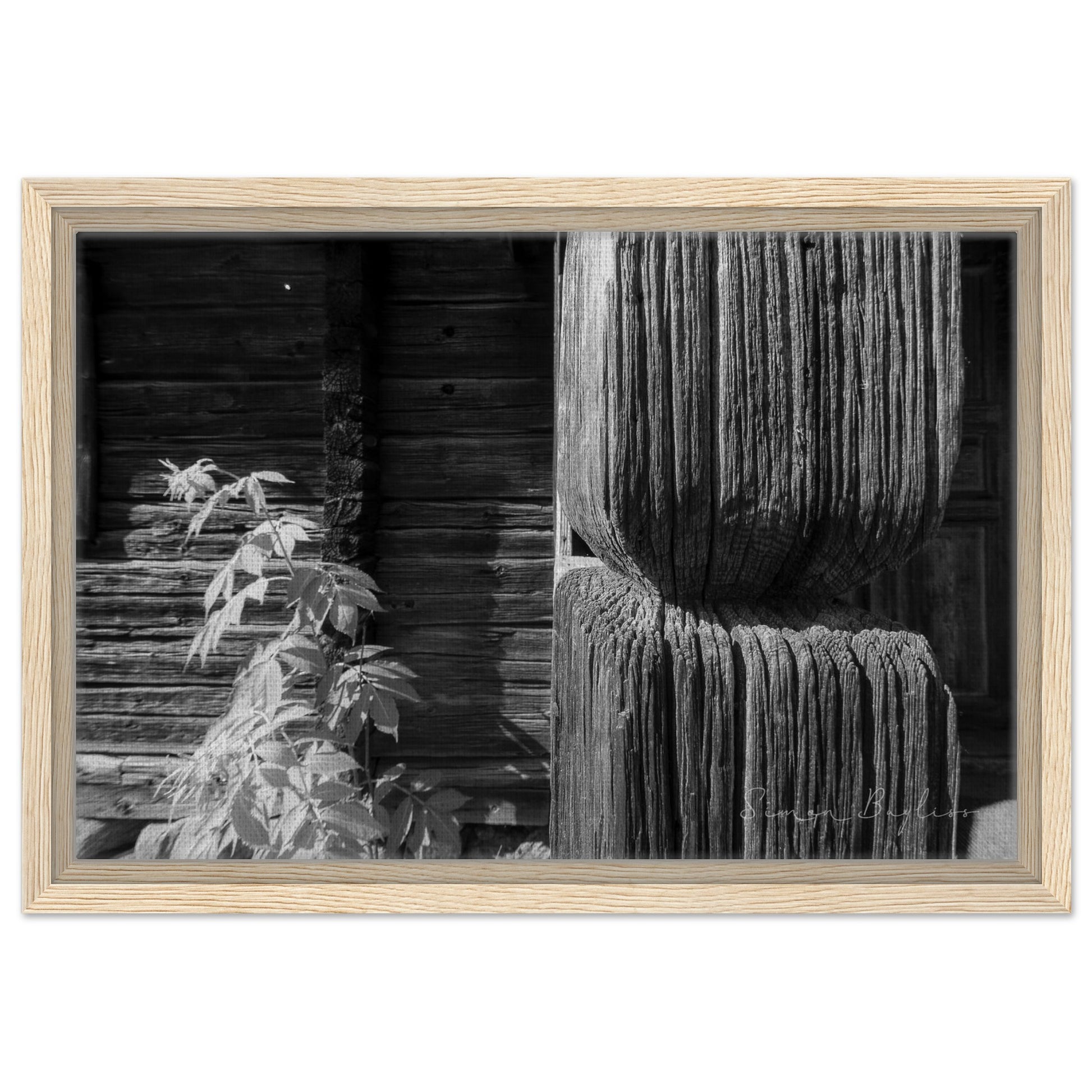 ec1dcaf0-5151-40fe-a8e3-d432dd7e046c