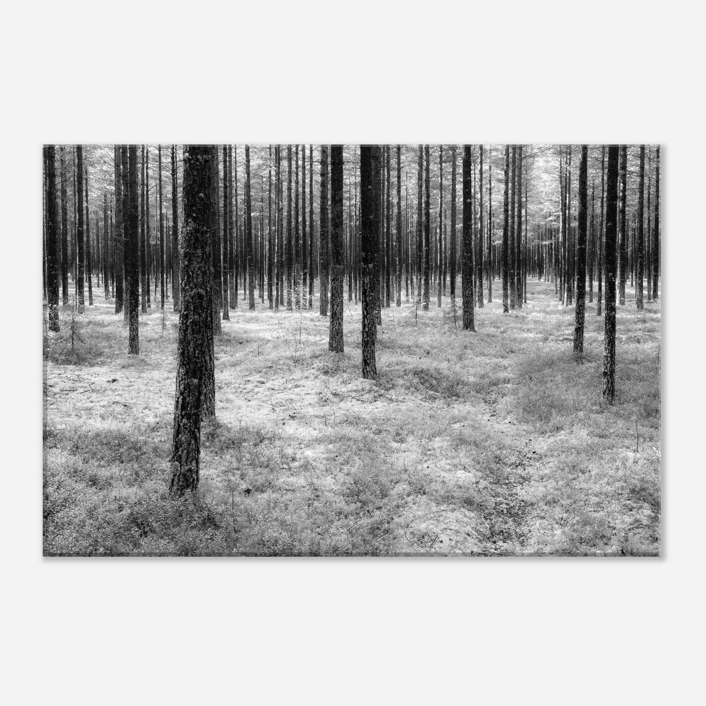 ec556991-fe8a-42fb-839d-02c6c210dde7