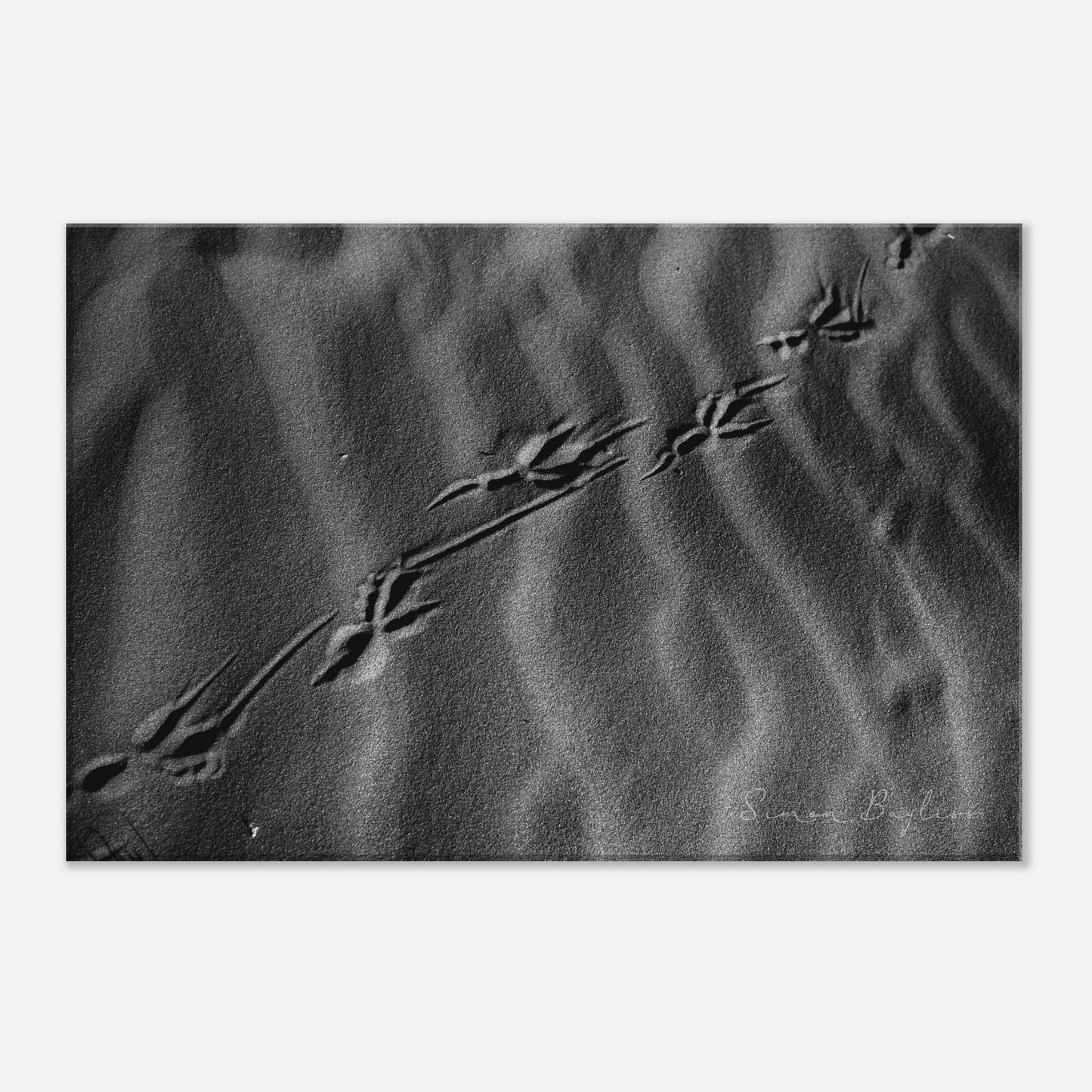 ec5f4413-ca71-4f19-8aa4-16f6cfda8a65