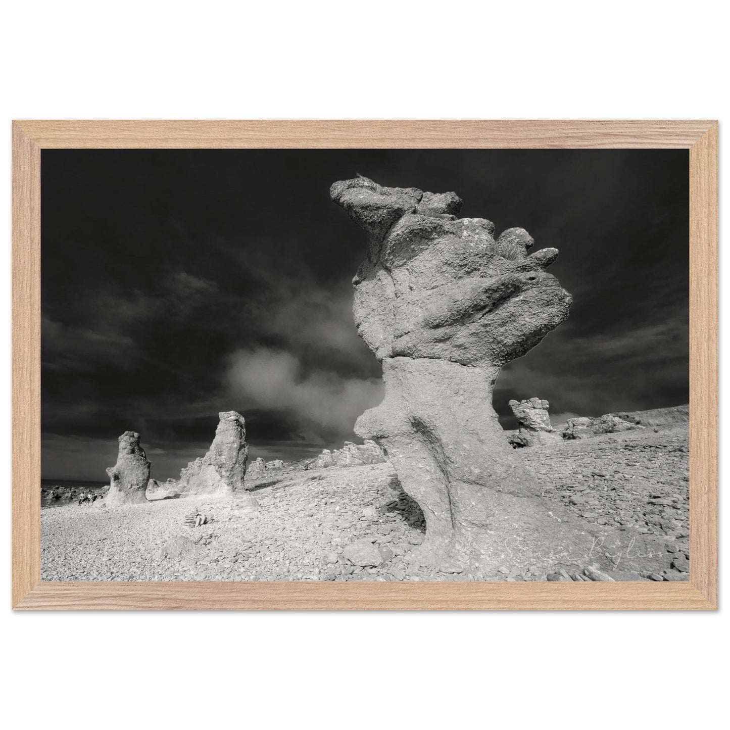 ecd6f9d4-a2c1-4108-9767-820d04704a40