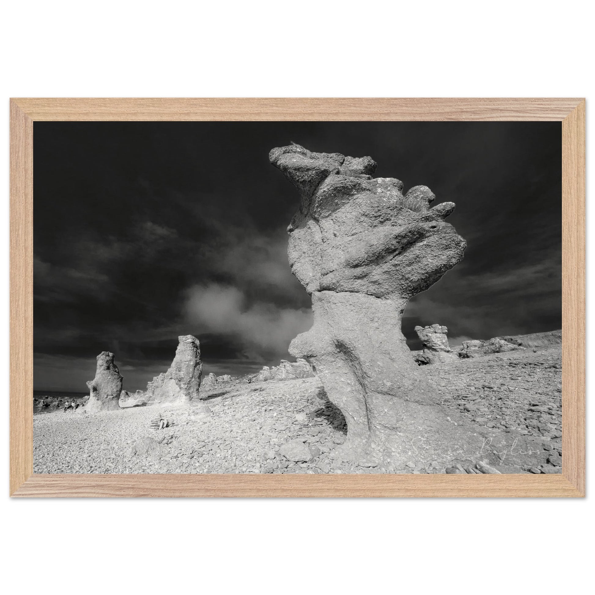 ecd6f9d4-a2c1-4108-9767-820d04704a40