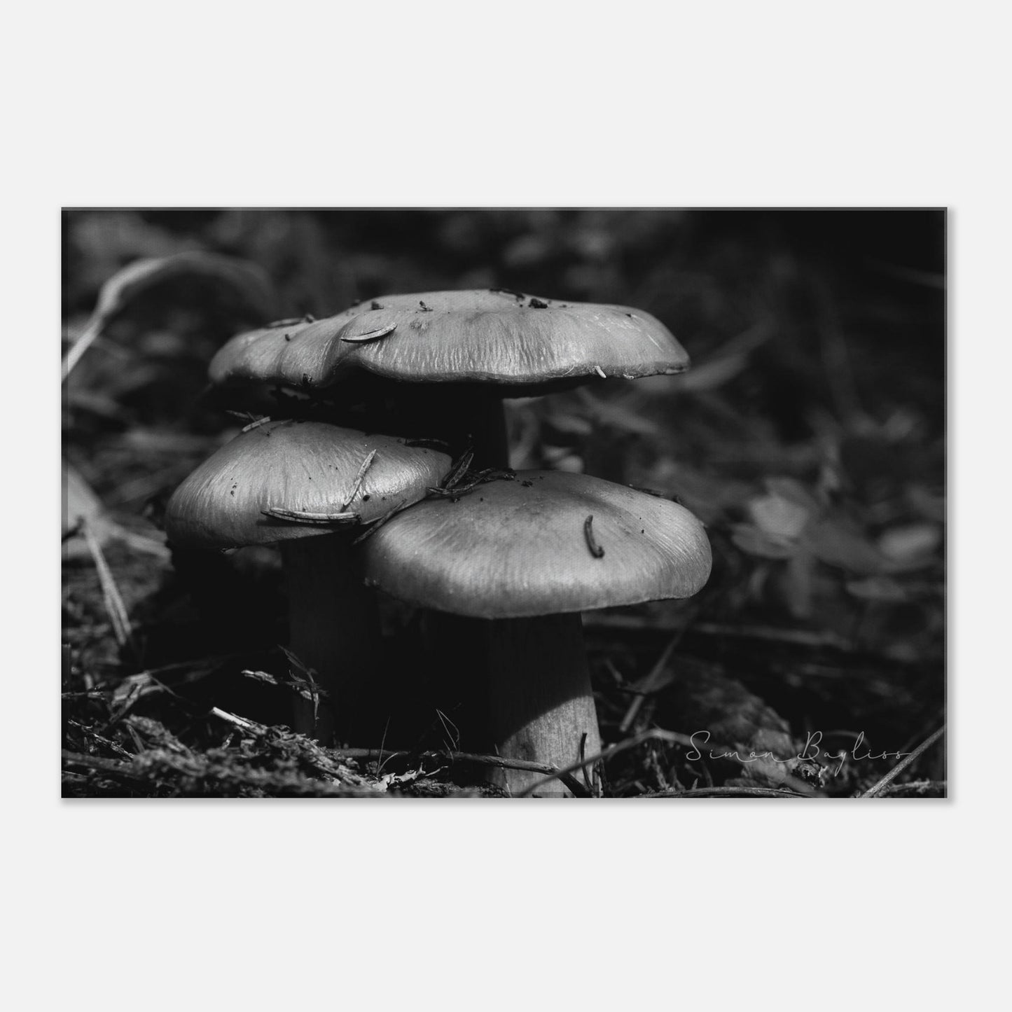 ed41fe00-8e77-4e29-ba0f-f3113e2d391a