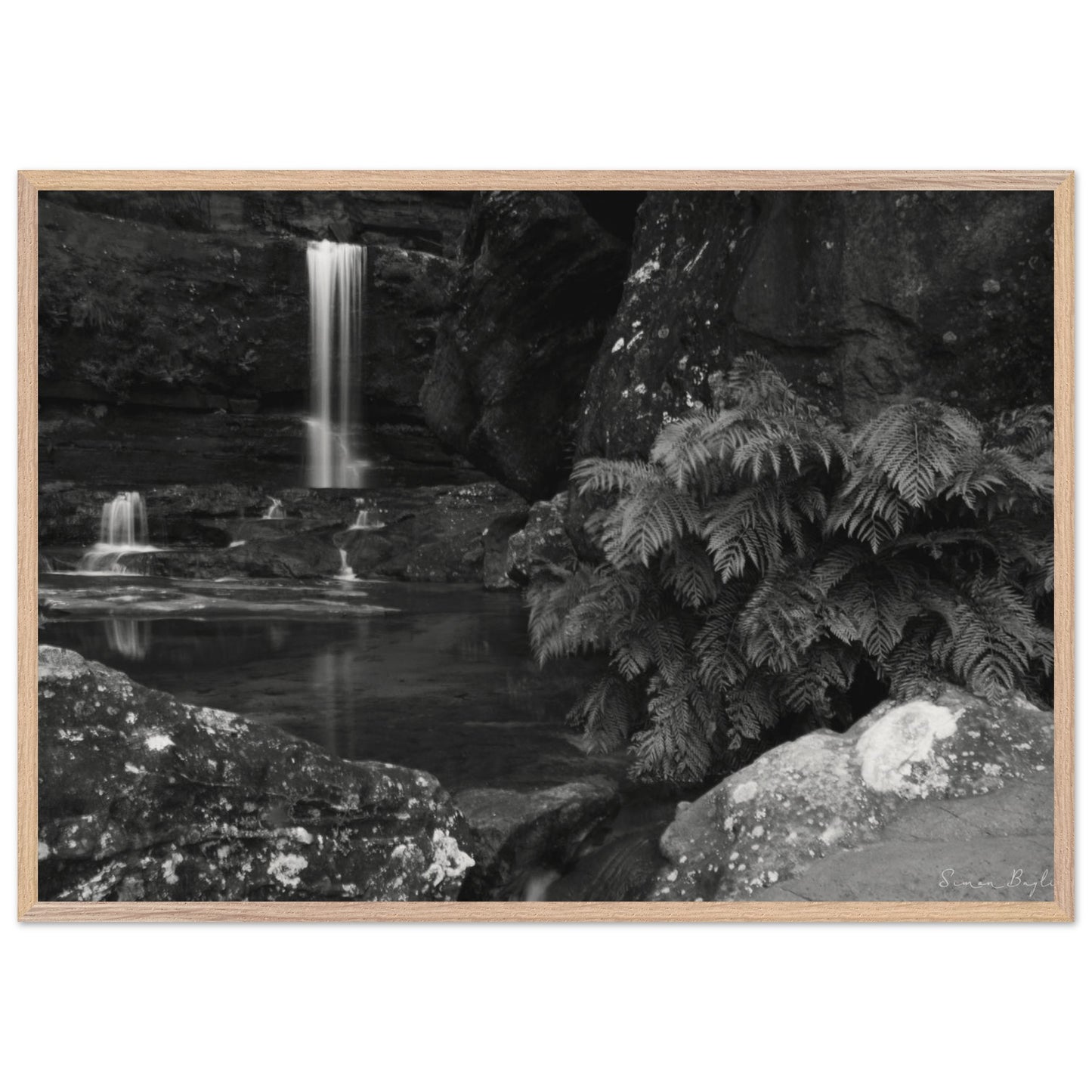 ed625cb6-2fe8-4845-b746-c7c567818ed8