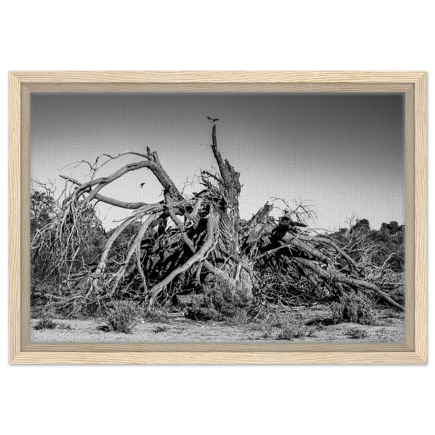 ed8e4639-420e-46d4-b965-48c970acd19f