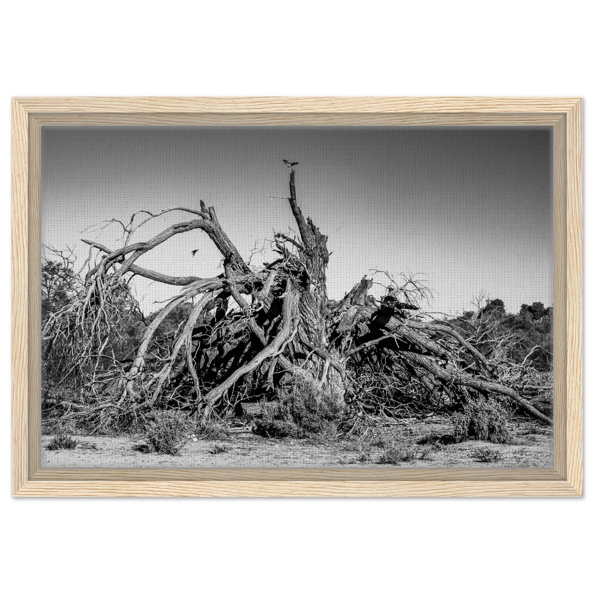 ed8e4639-420e-46d4-b965-48c970acd19f