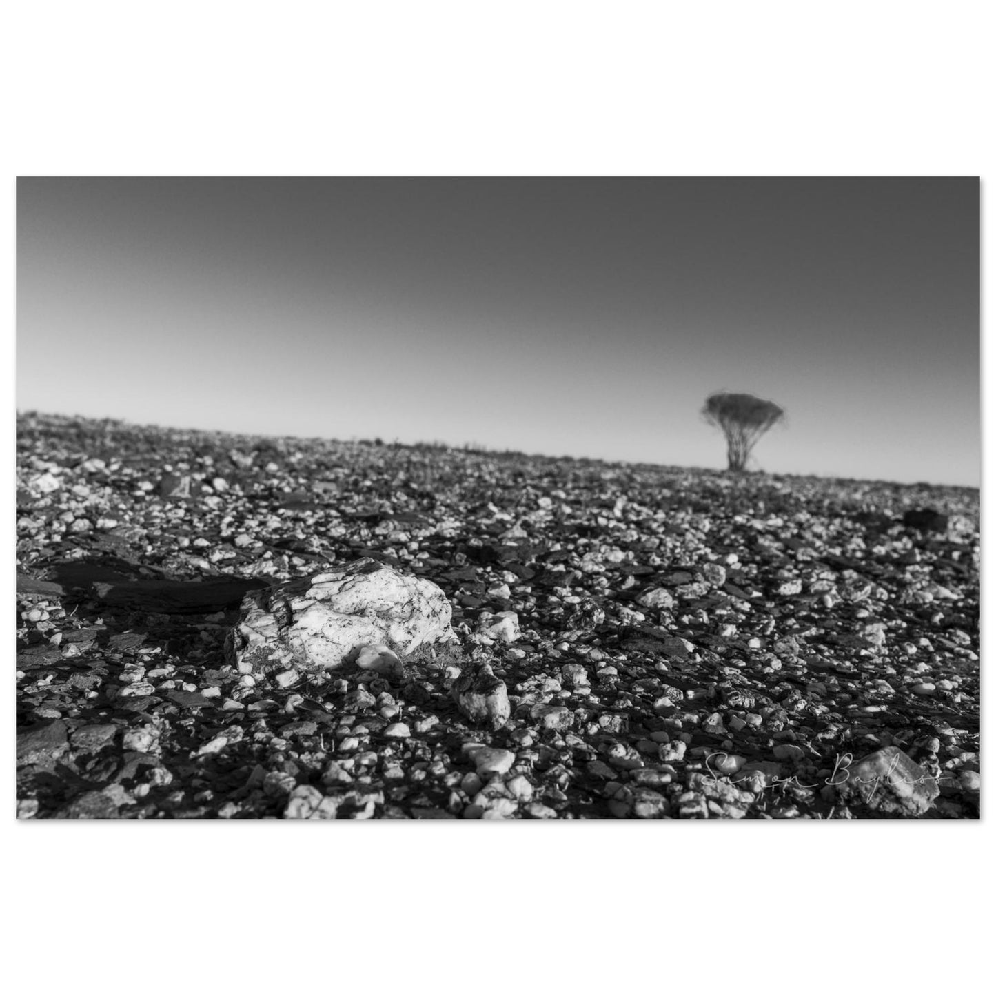 ed92e84d-9e5a-4aff-ad43-5416c94015a8