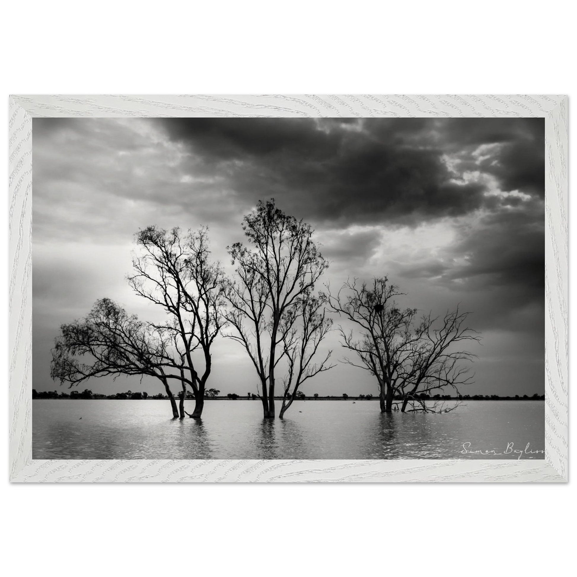 ed976f43-502f-4589-87c7-166fc69420c3