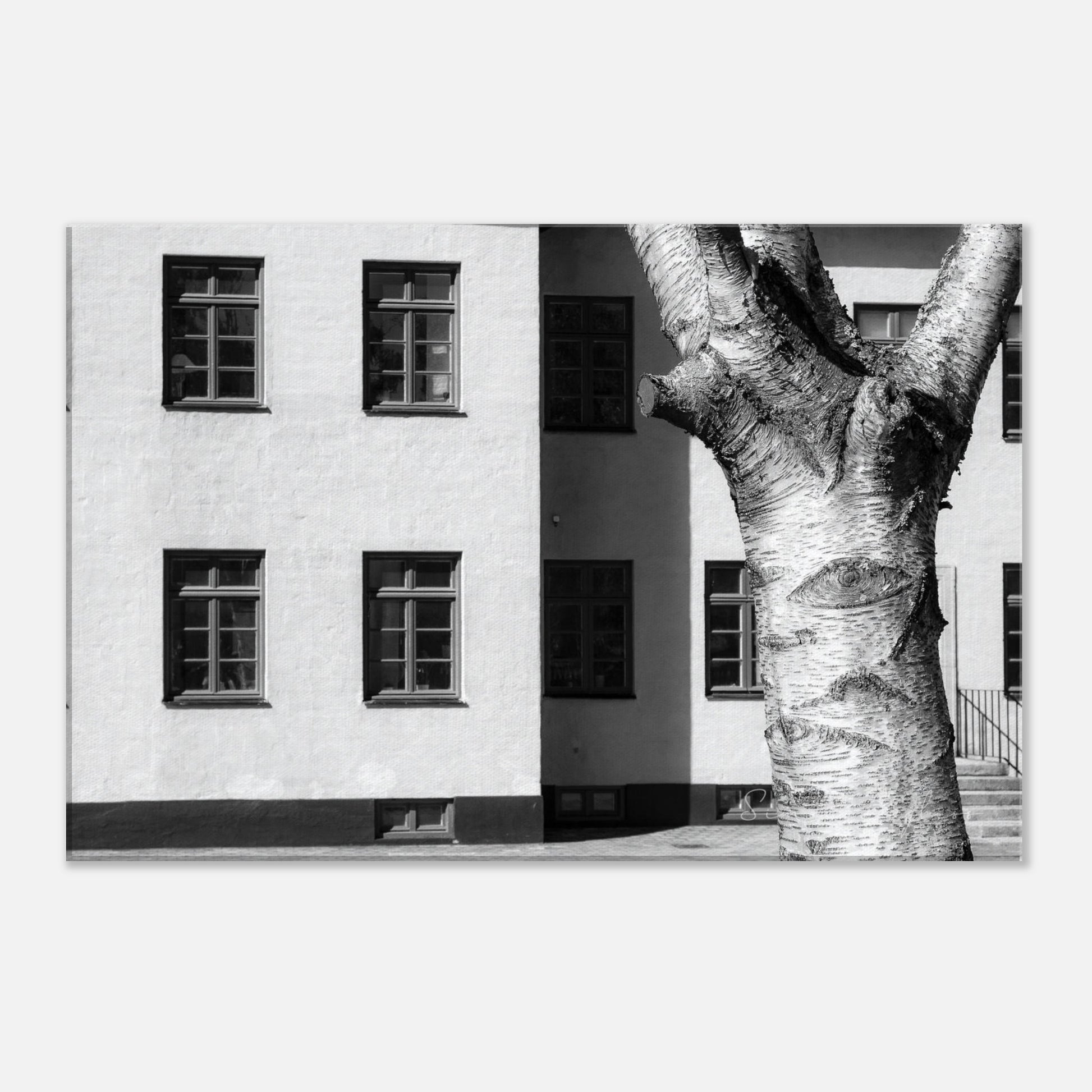 edc48099-5a08-4b35-b967-0aedb852236a