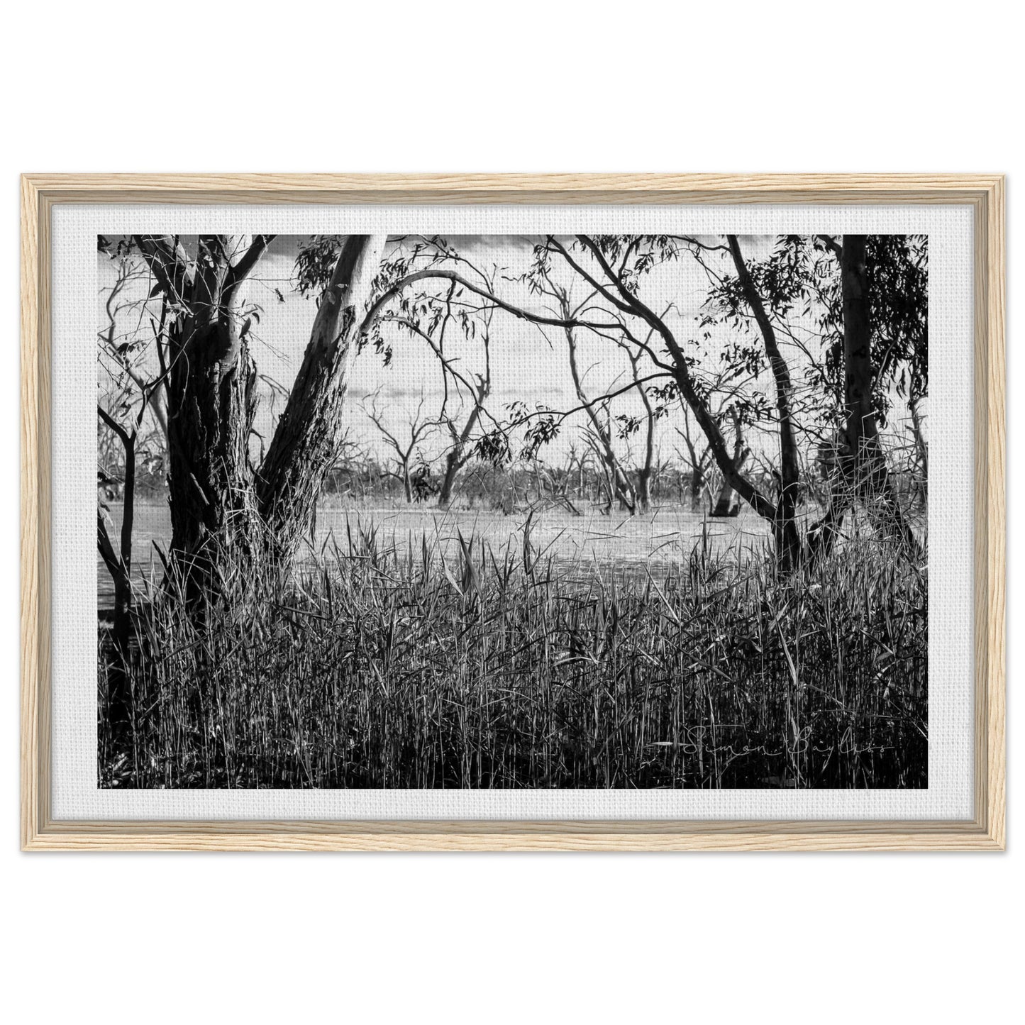 ee06a42a-5a03-4ac4-9d9a-e5b5fc9a6122