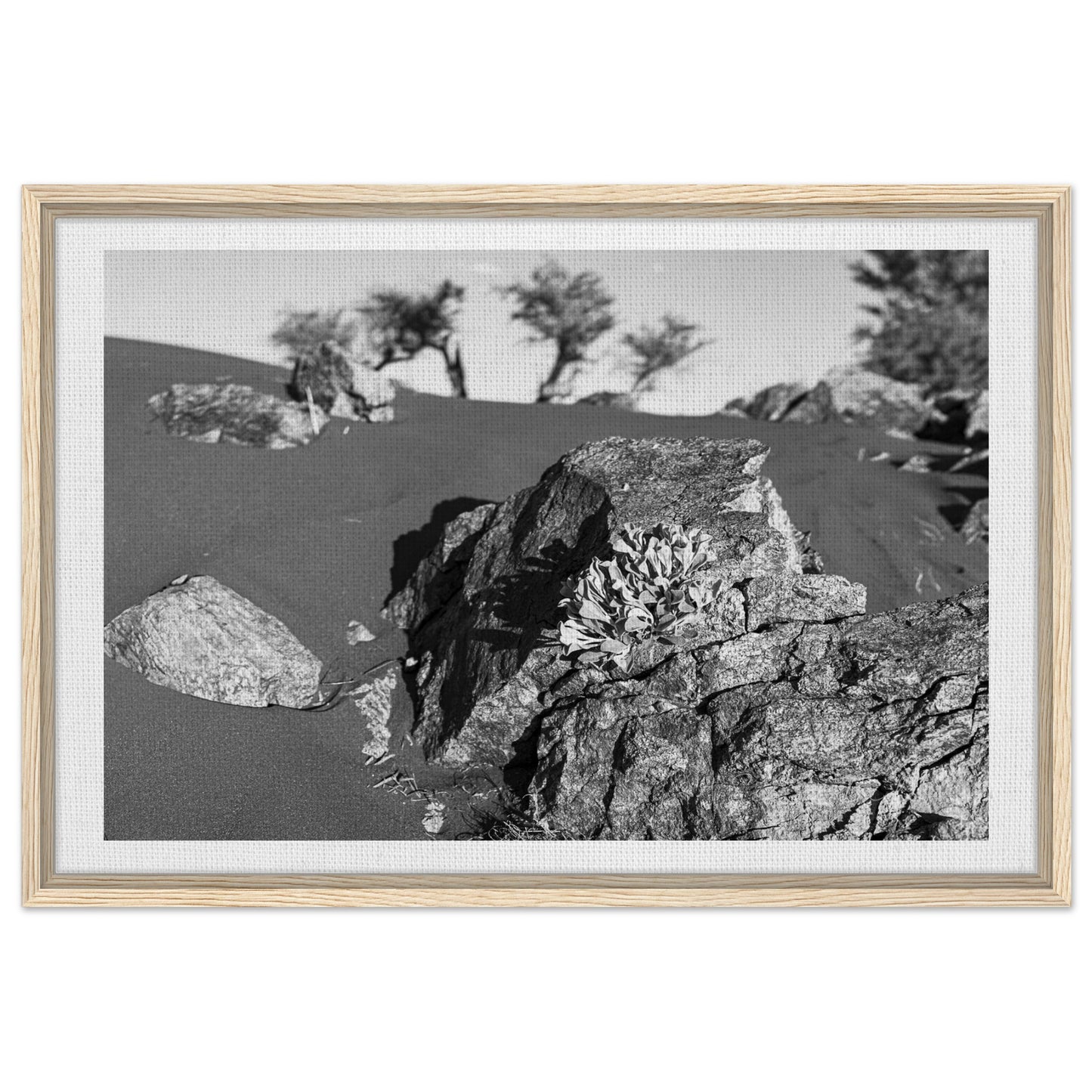 ee338b1b-913c-4ee1-ae07-cb1819b457ee