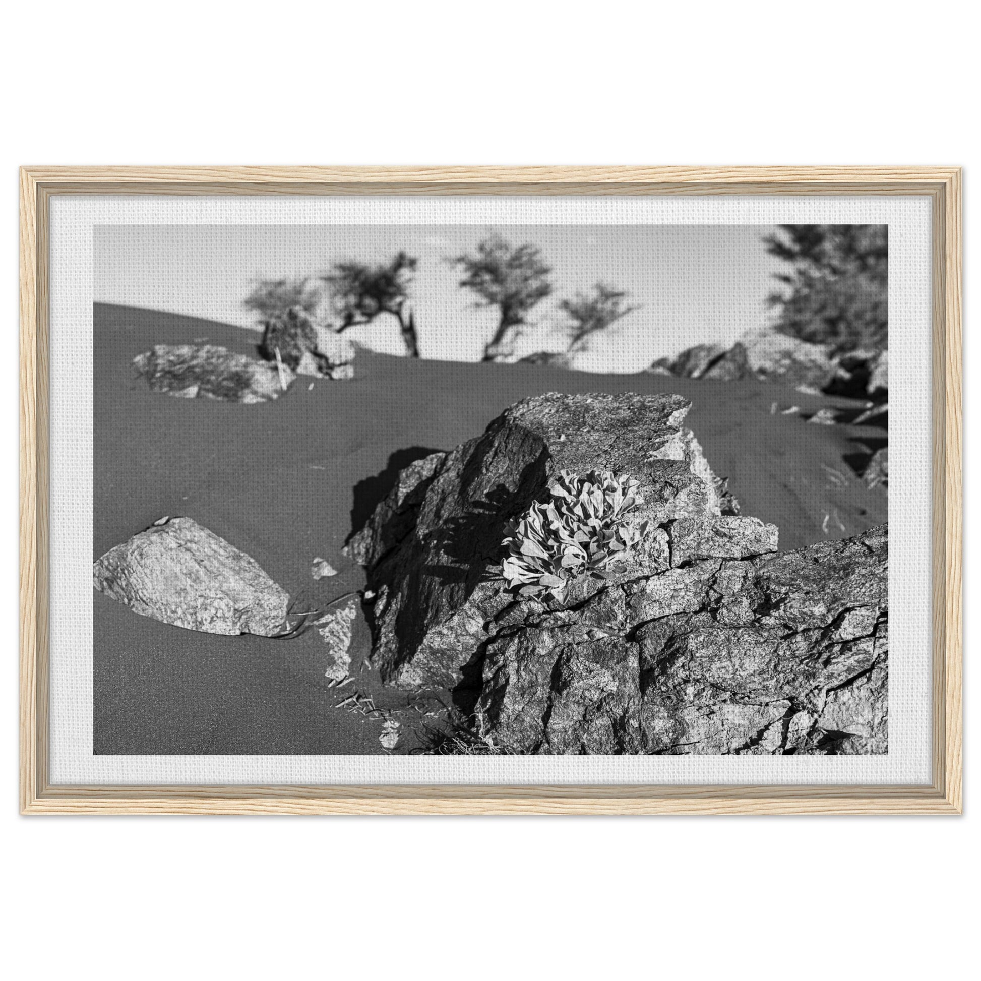 ee338b1b-913c-4ee1-ae07-cb1819b457ee