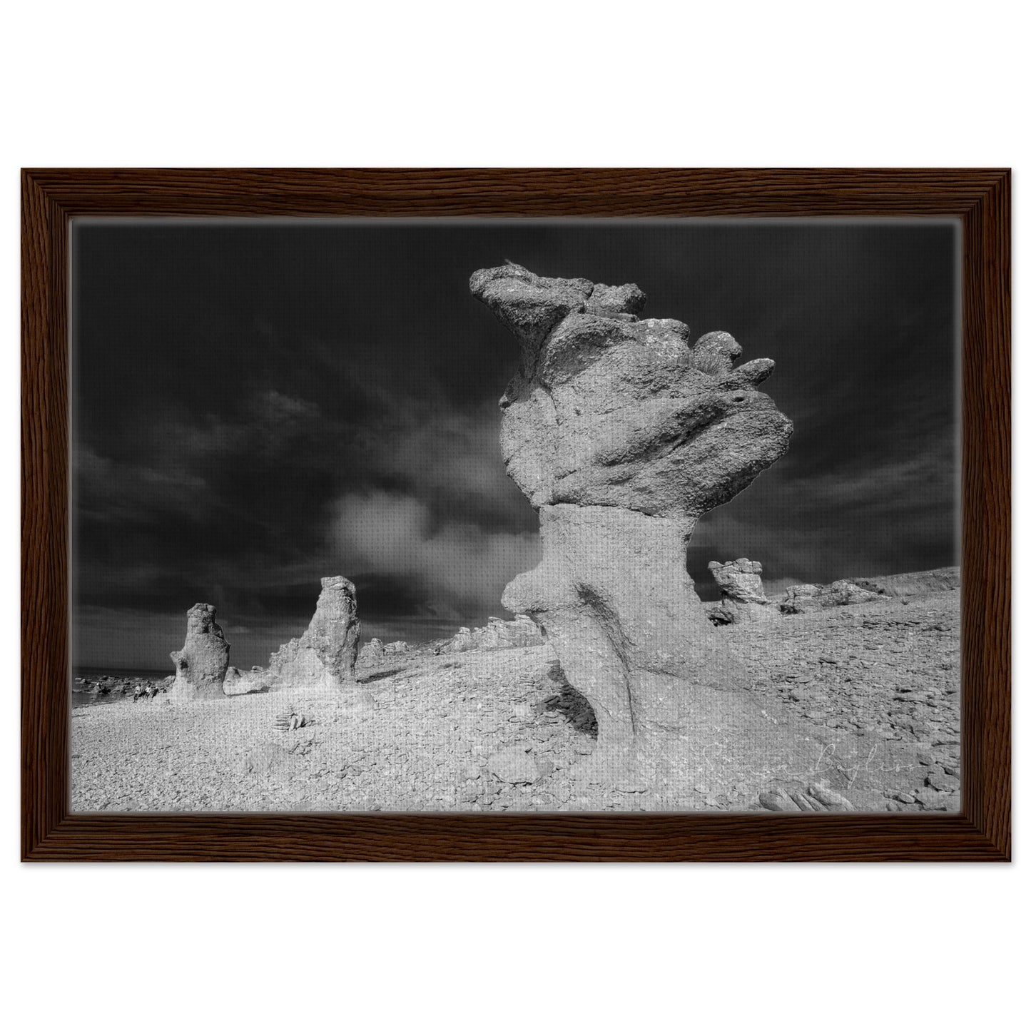 eed2d2d6-cfa2-44cf-a534-15acc844804e