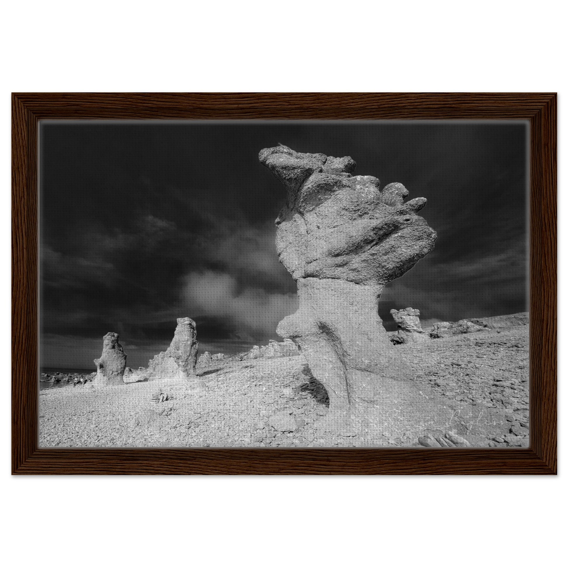 eed2d2d6-cfa2-44cf-a534-15acc844804e