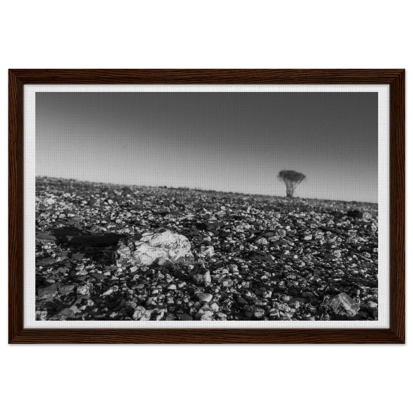 ef8306f5-3d2b-4ac5-9829-655f391ab42a