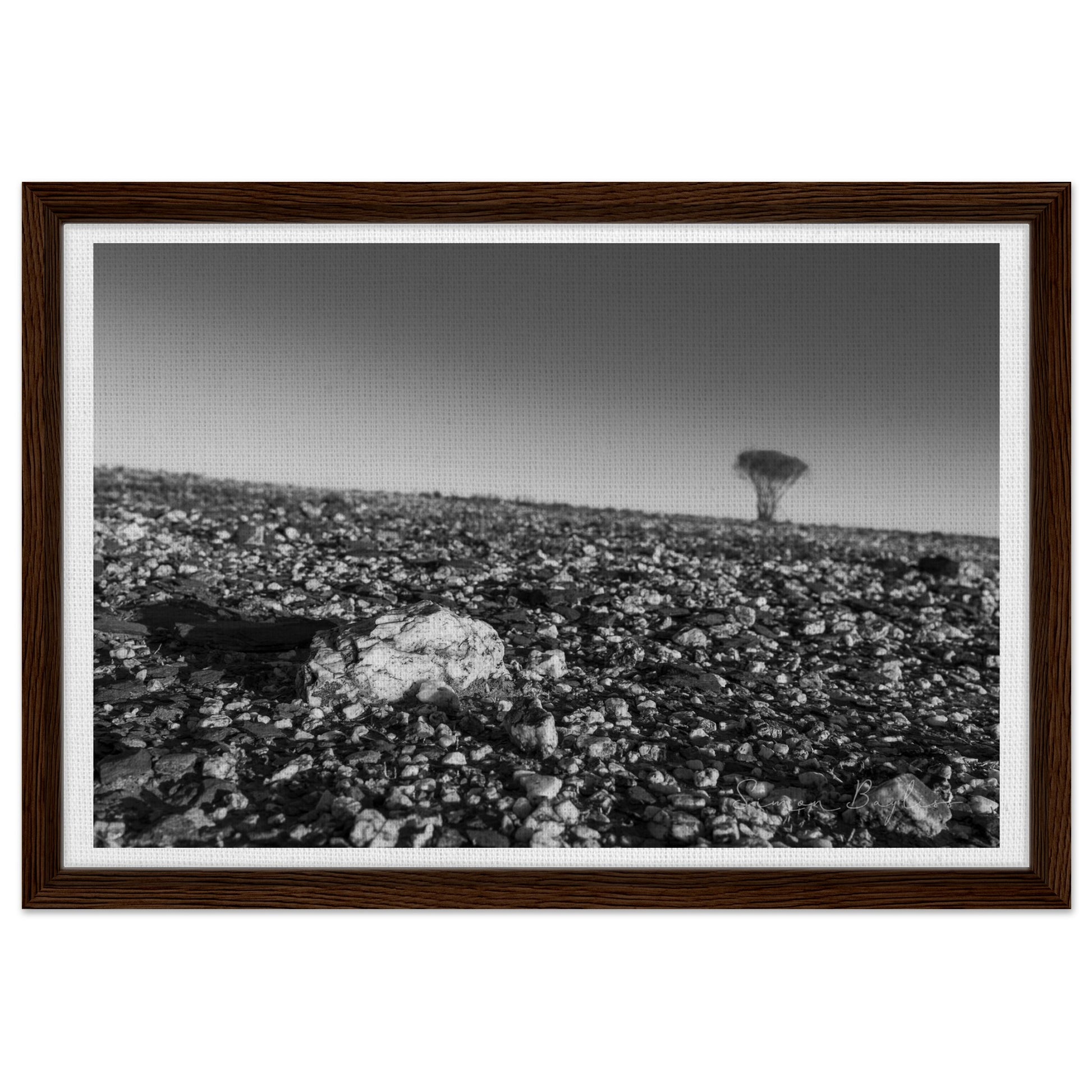 ef8306f5-3d2b-4ac5-9829-655f391ab42a