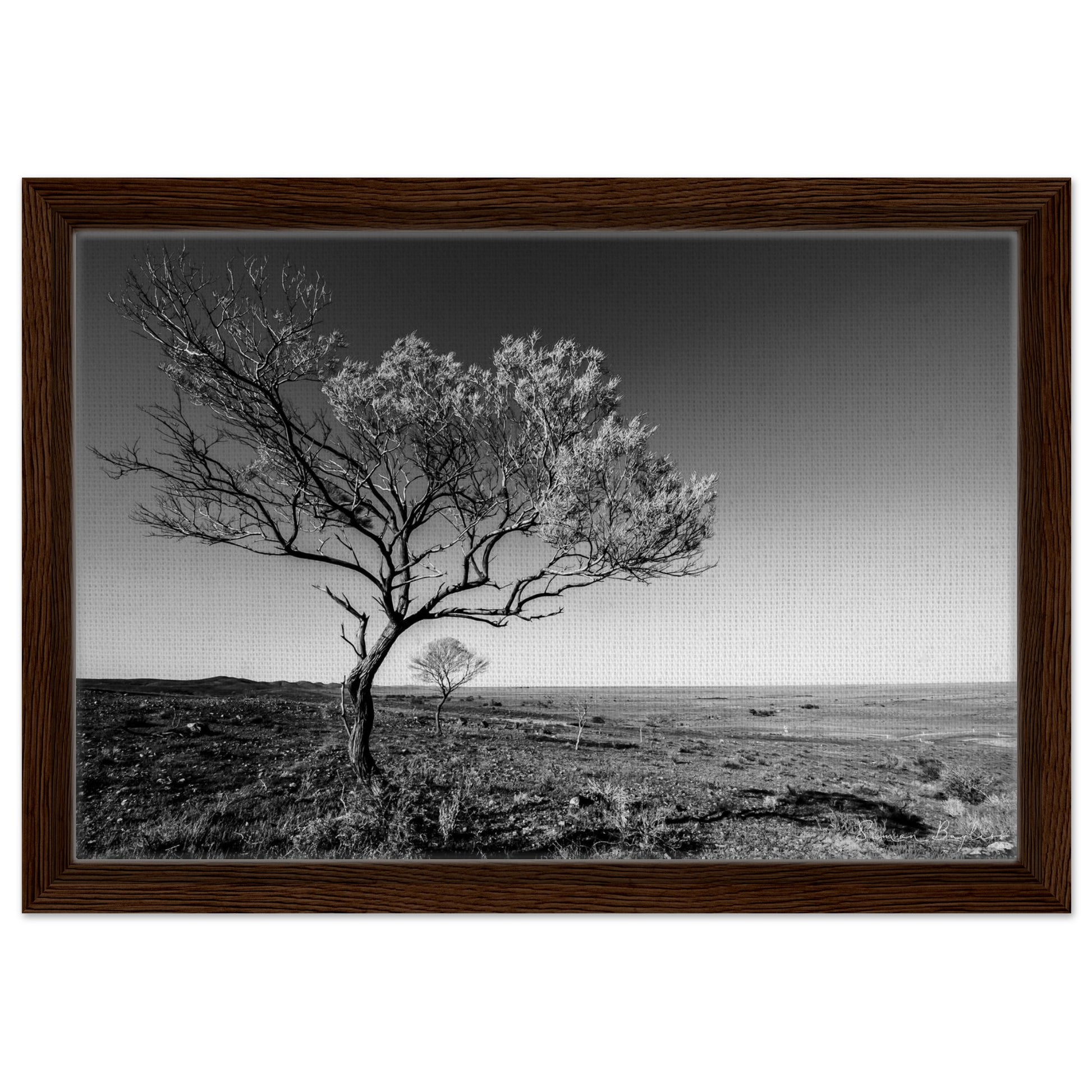 efa6210a-a919-49c5-964e-734109e284d1