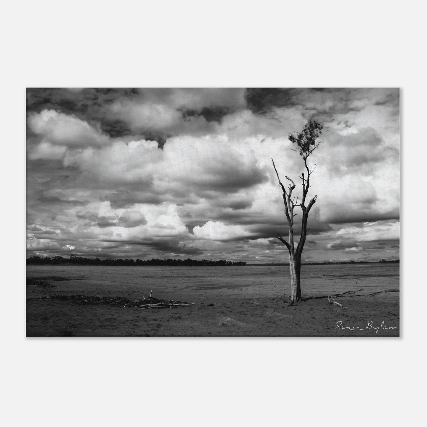 f0064e87-7a4d-4229-9706-3c85d60777ef